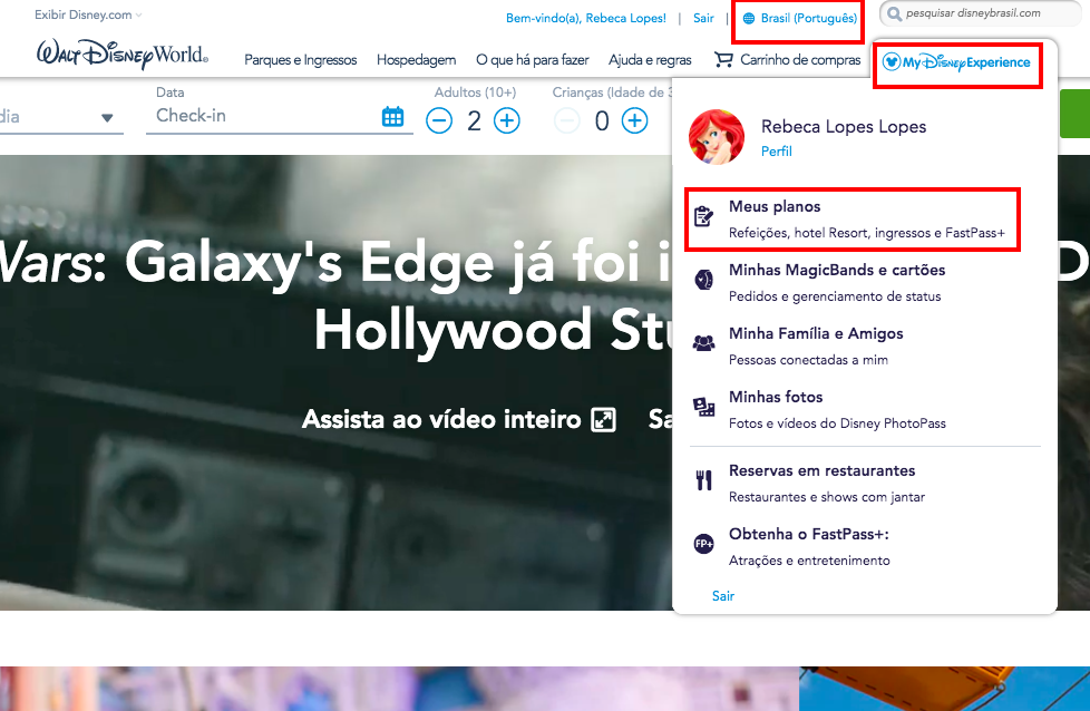 Como usar os Fast Pass e as Magic Bands
