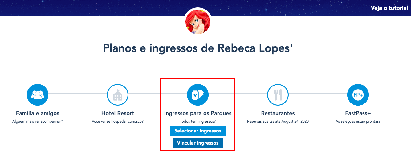 Como usar os Fast Pass e as Magic Bands