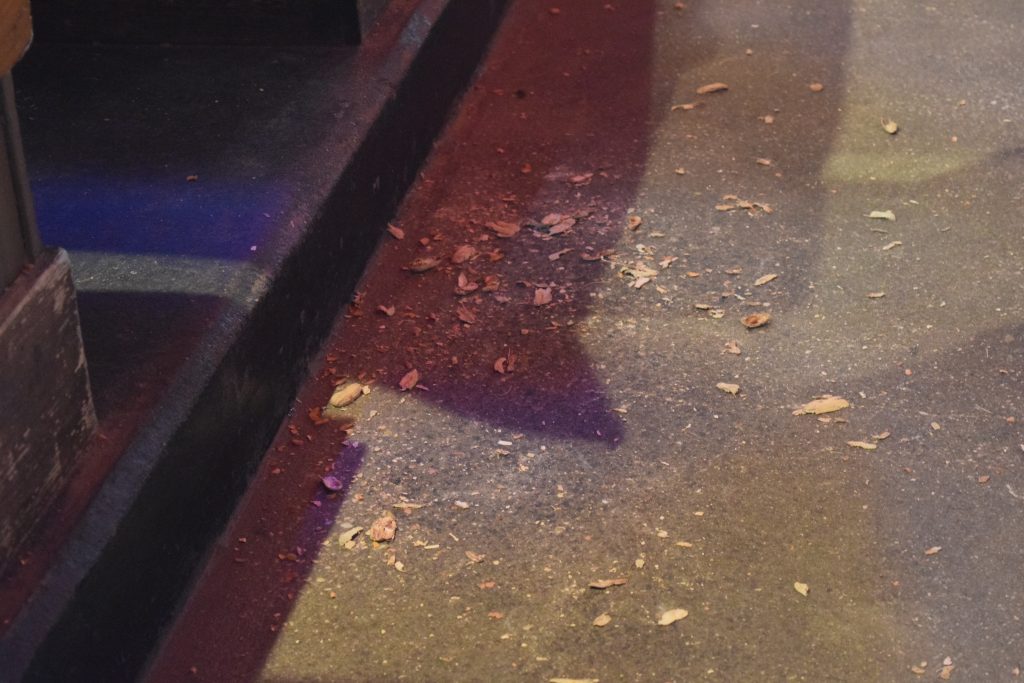 logans roadhouse orlando