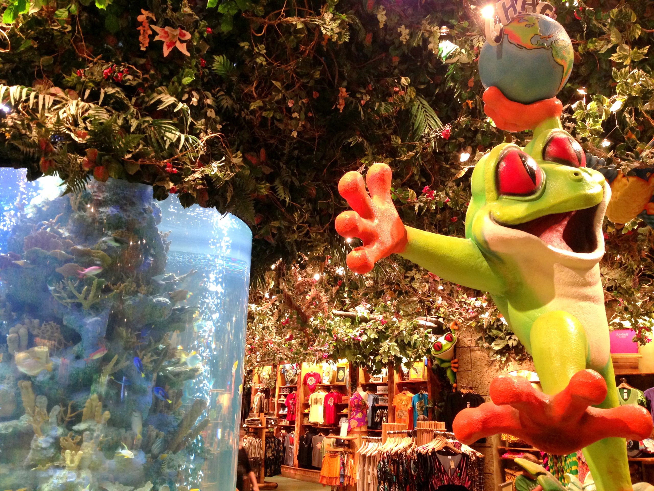 Rainforest Cafe: restaurante com tema de floresta em Orlando