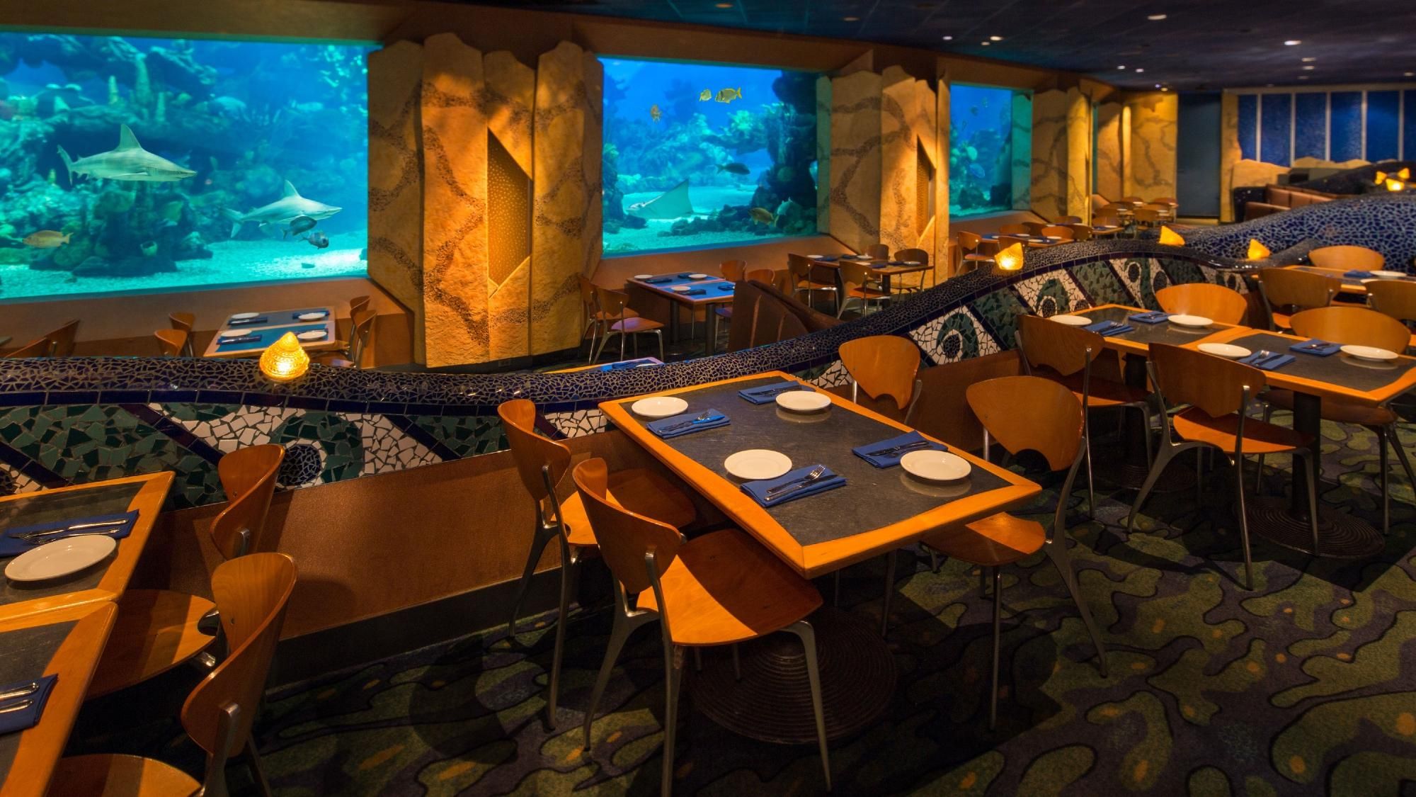 Coral Reef: onde comer bem no Epcot