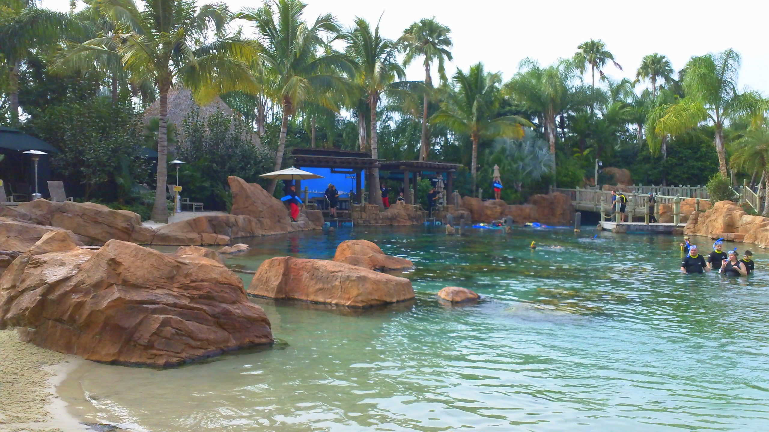 Como é o Discovery Cove