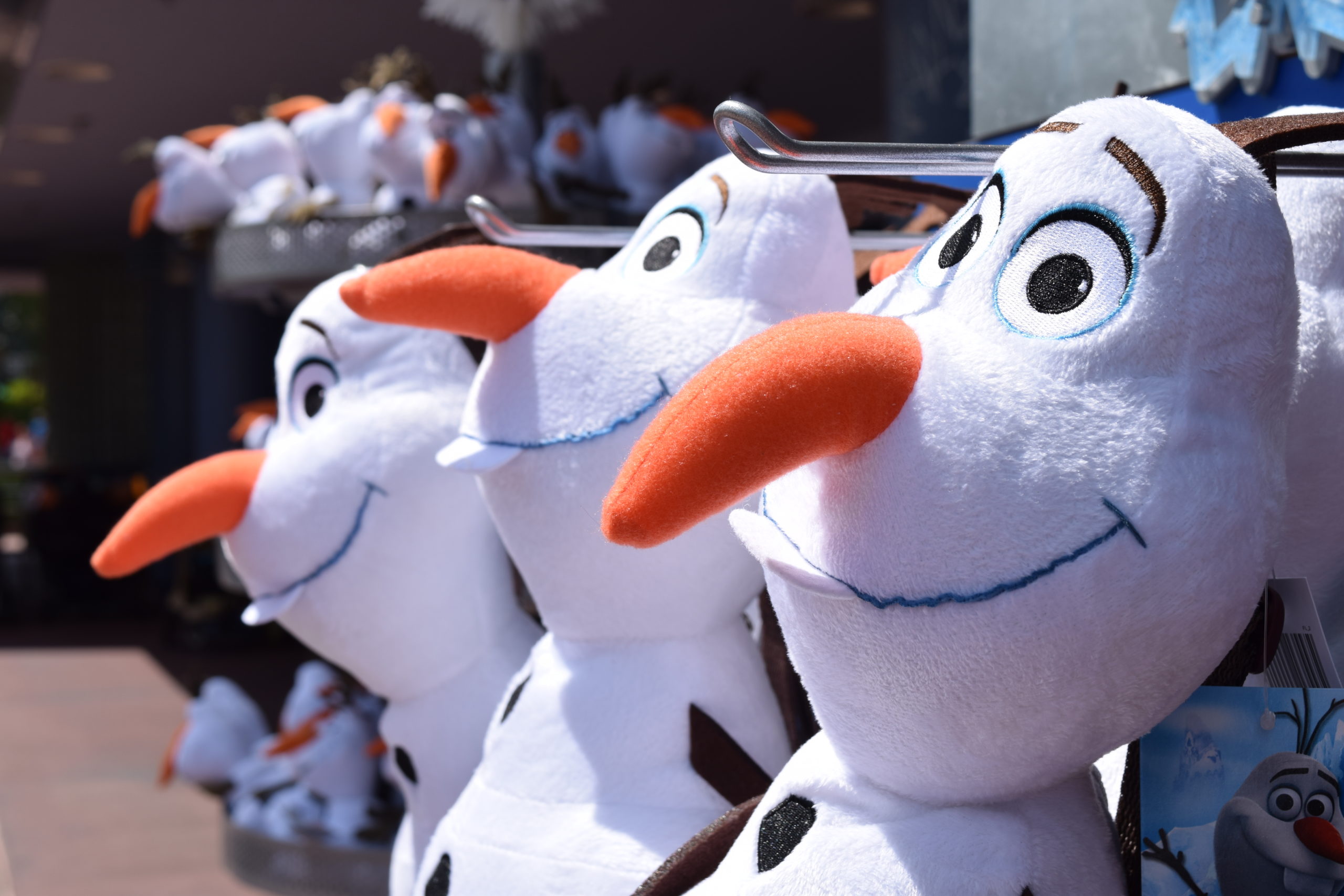 Frozen Summer Fun 2015   Let it Go!