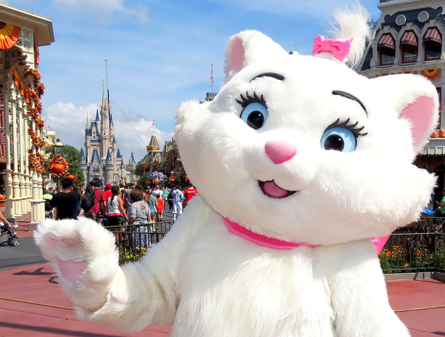 Magical Moments nos parques da Disney