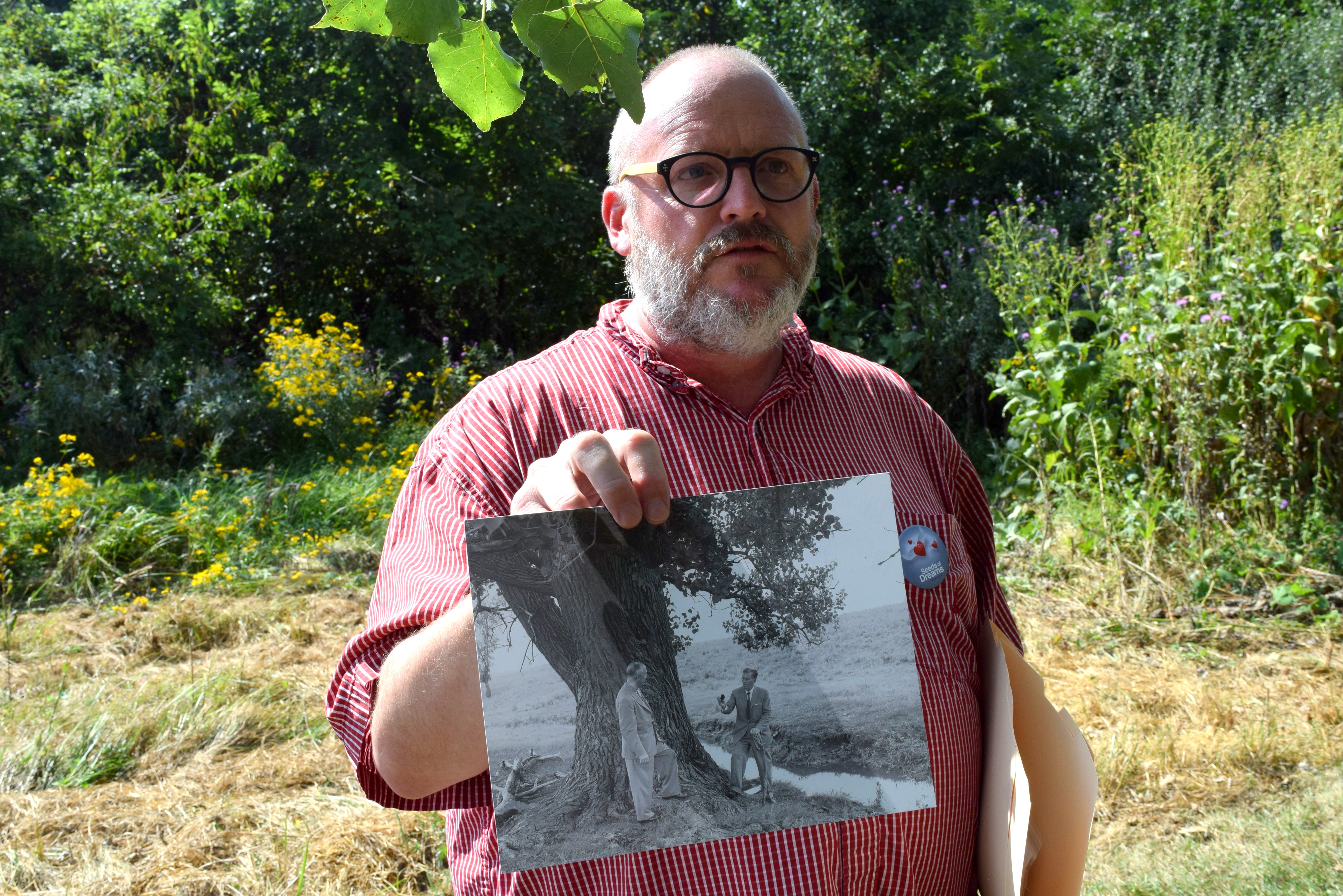 Árvore dos Sonhos Walt Disney Marceline