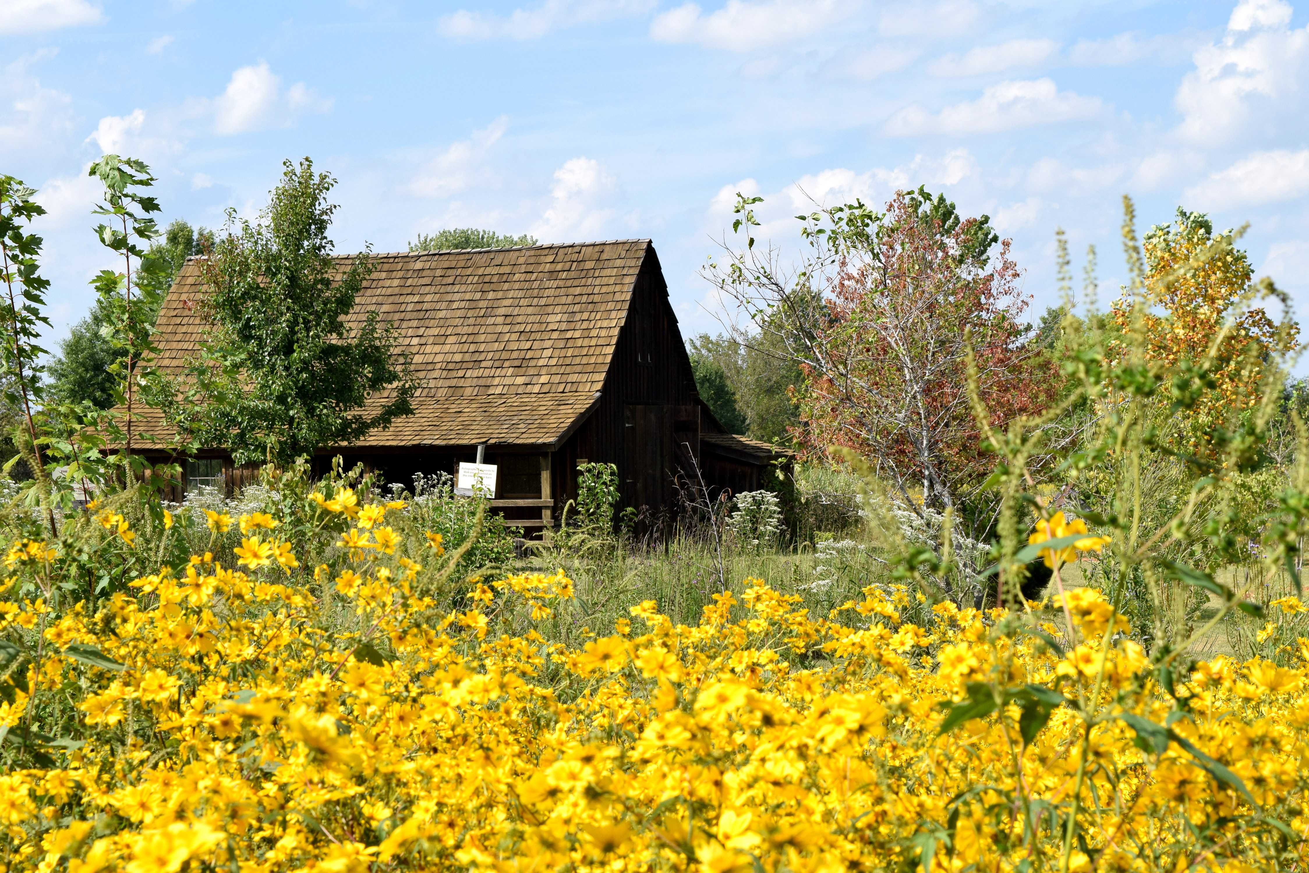 Celeiro Walt Disney Marceline