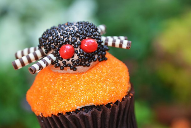 mnsshp-main-street-bakery-spider-cupcake