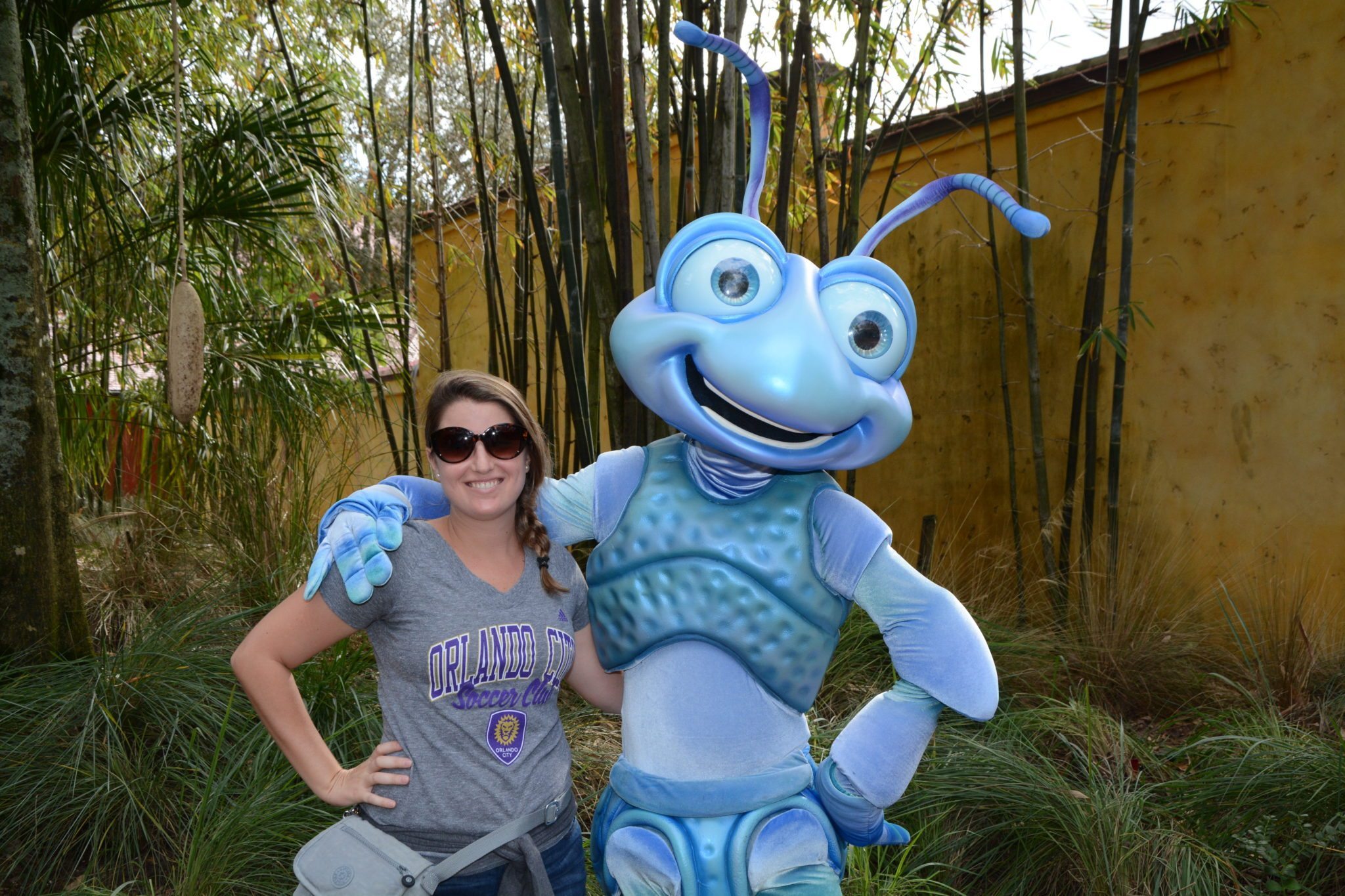 Fotos com personagens raros no parque Animal Kingdom - Vídeo