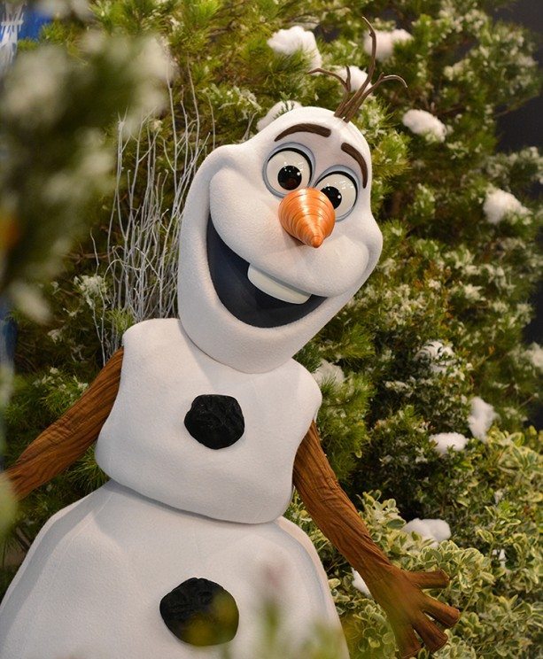 olaf meet and greet