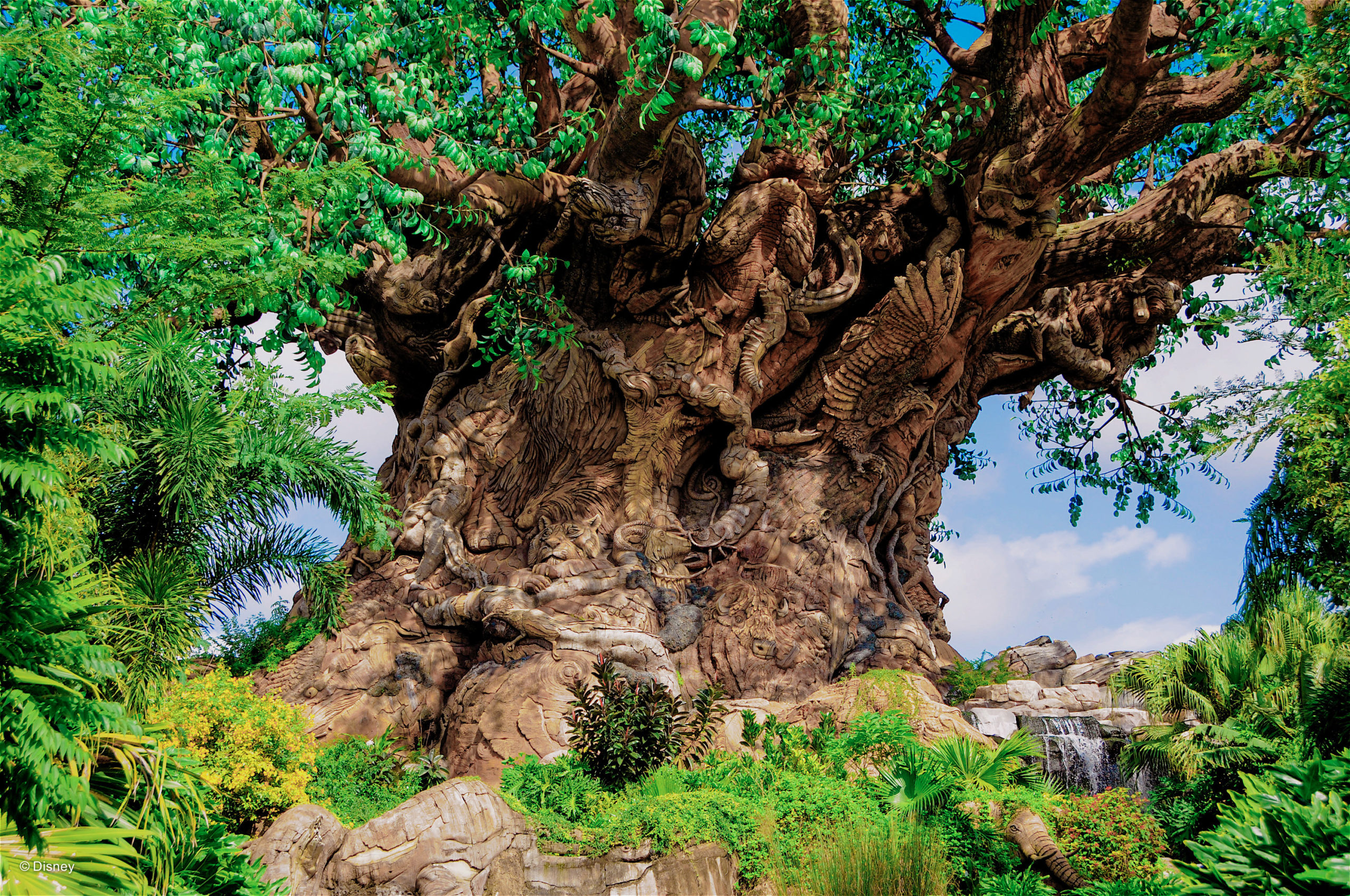 O impressionante nível de detalhes da Disney