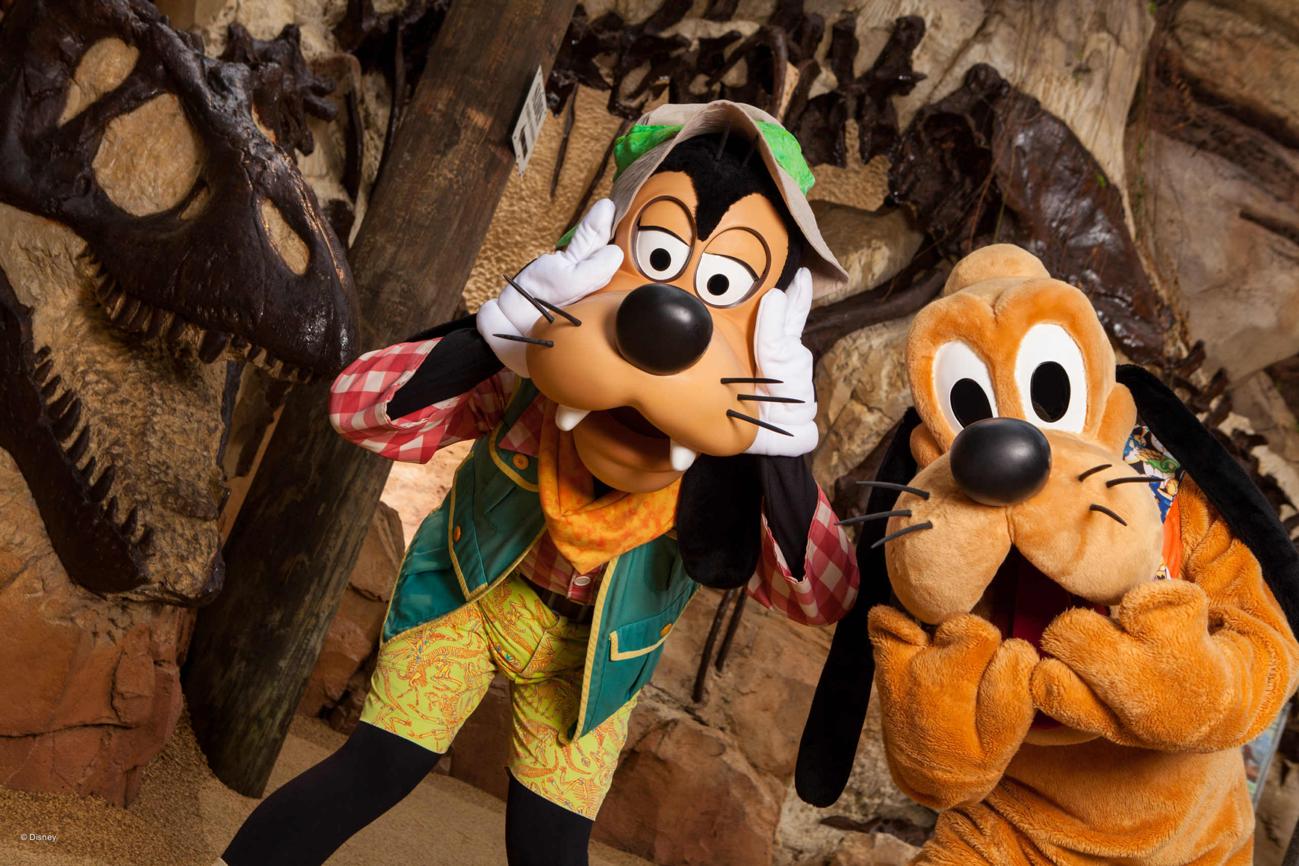 Iniciando a viagem de 