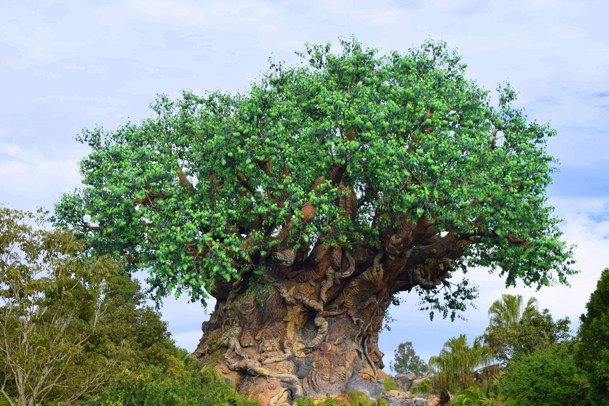 3 atrações obrigatórias no roteiro do Animal Kingdom