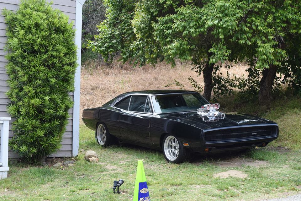 13227046_1006461949390352_1145216877290745074_n