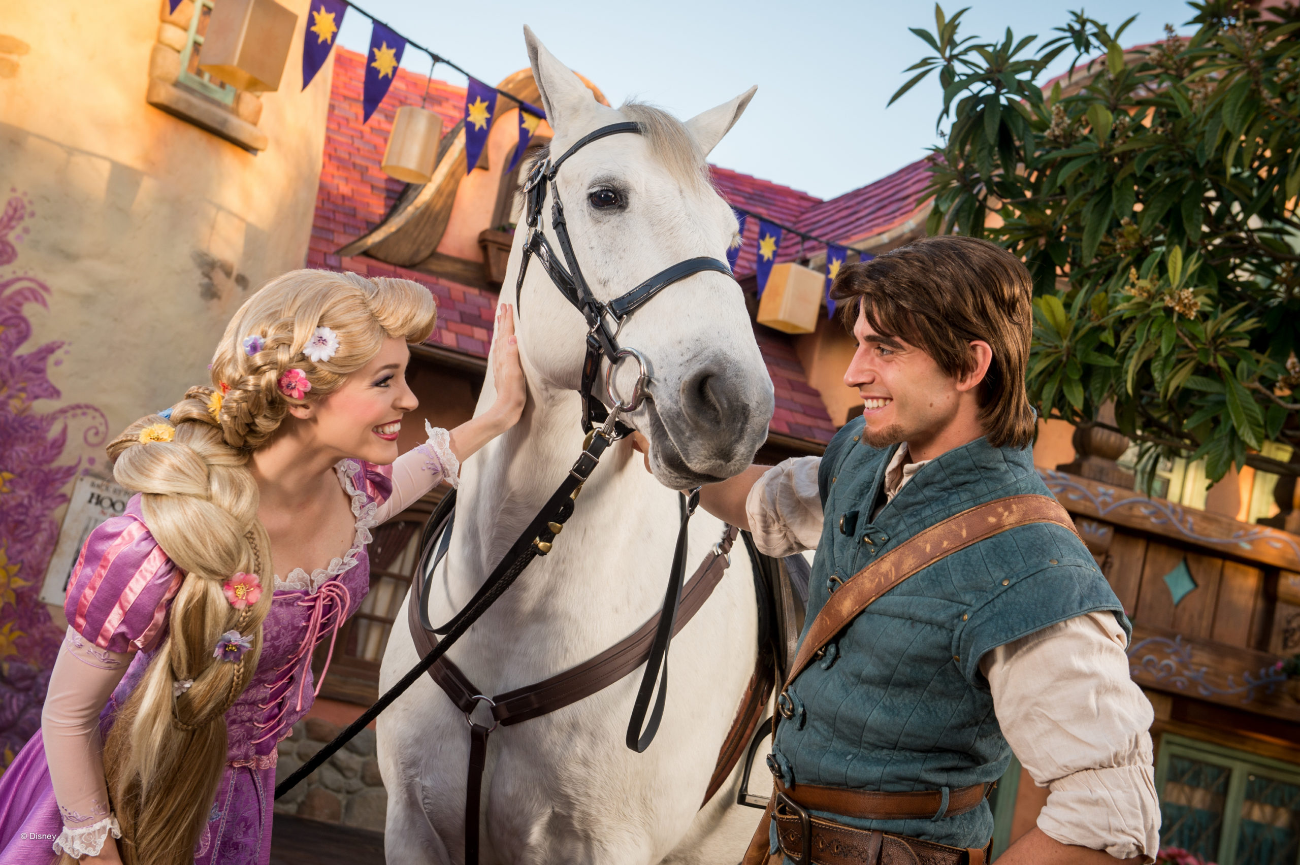 Últimas novidades de Orlando