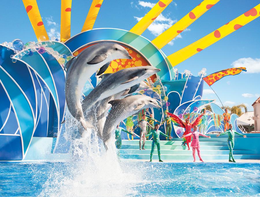Dolphin Days - o novo show com golfinhos do Sea World