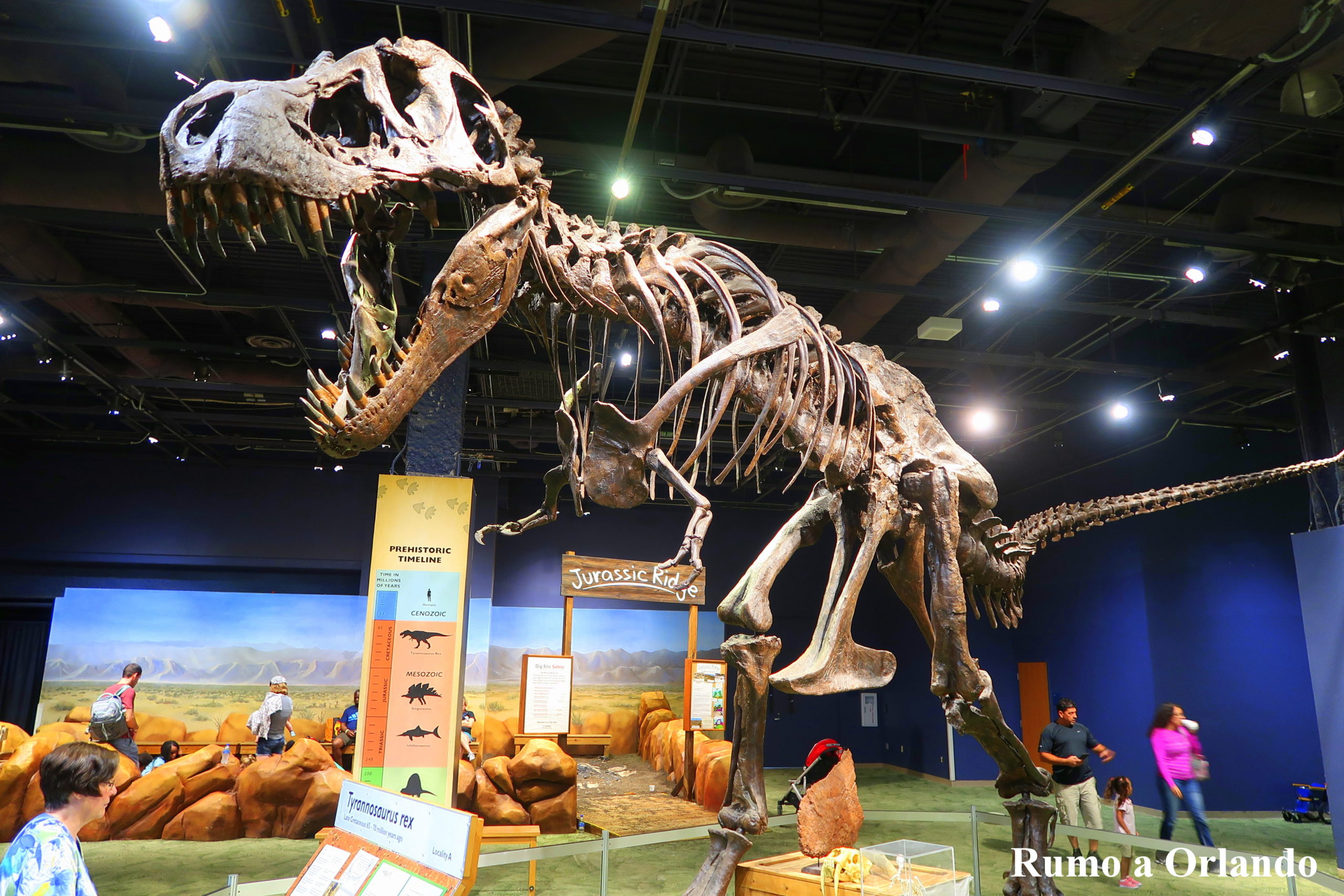 Como é o Orlando Science Center