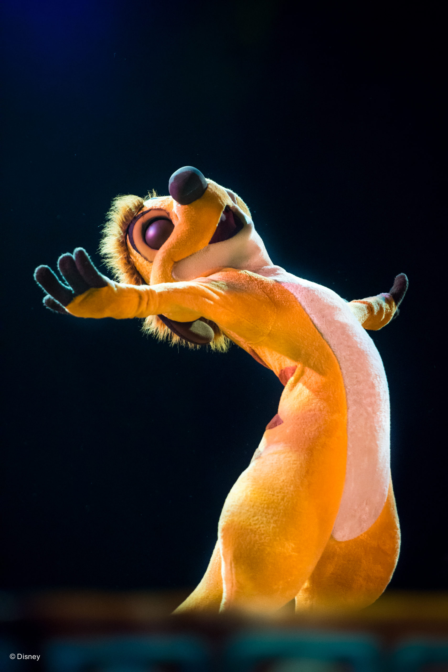 Últimas novidades nos parques de Orlando