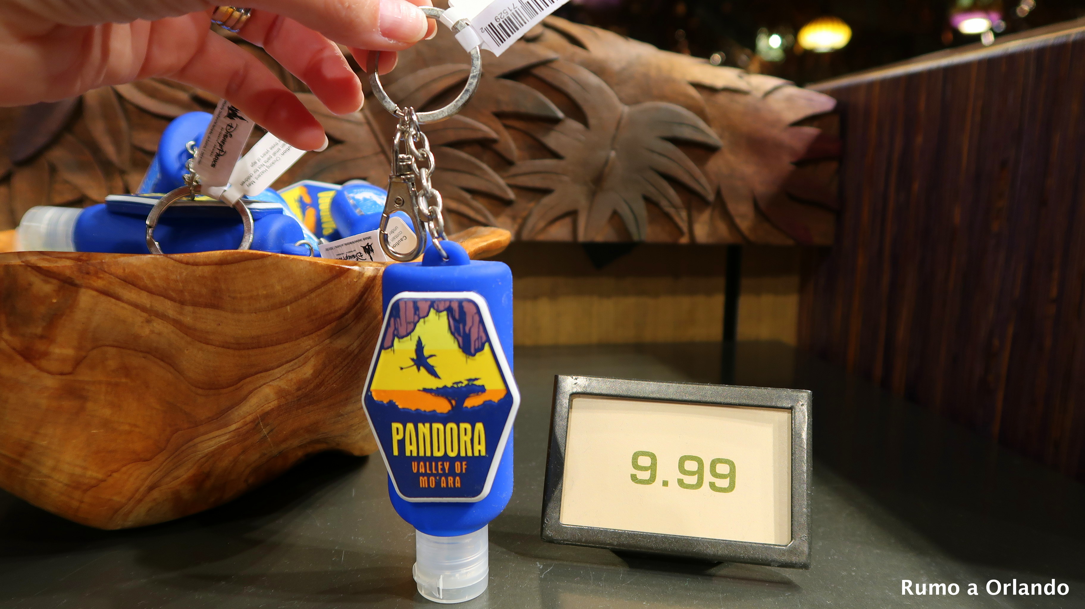 loja do Avatar no Animal Kingdom