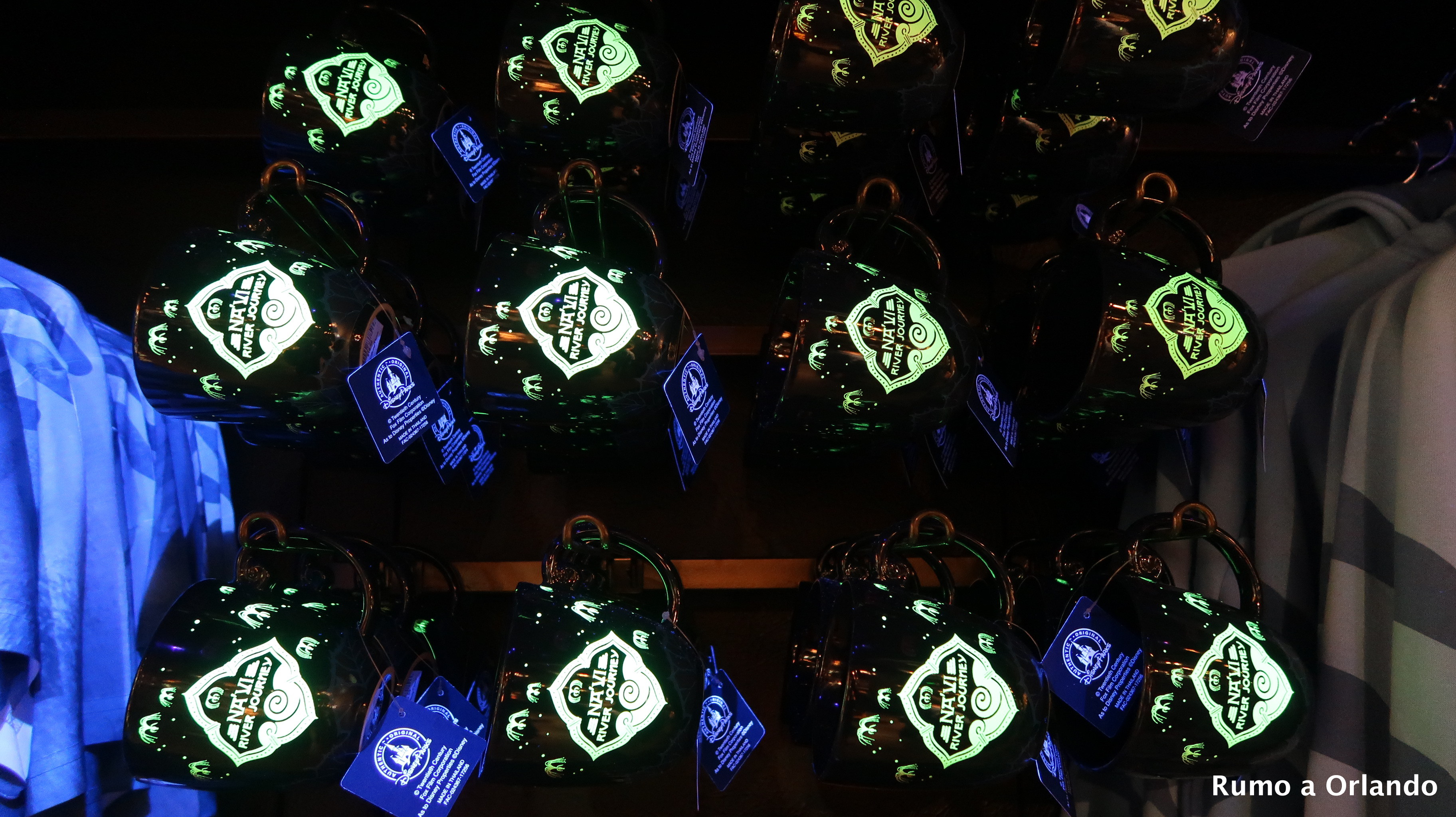 loja do Avatar no Animal Kingdom