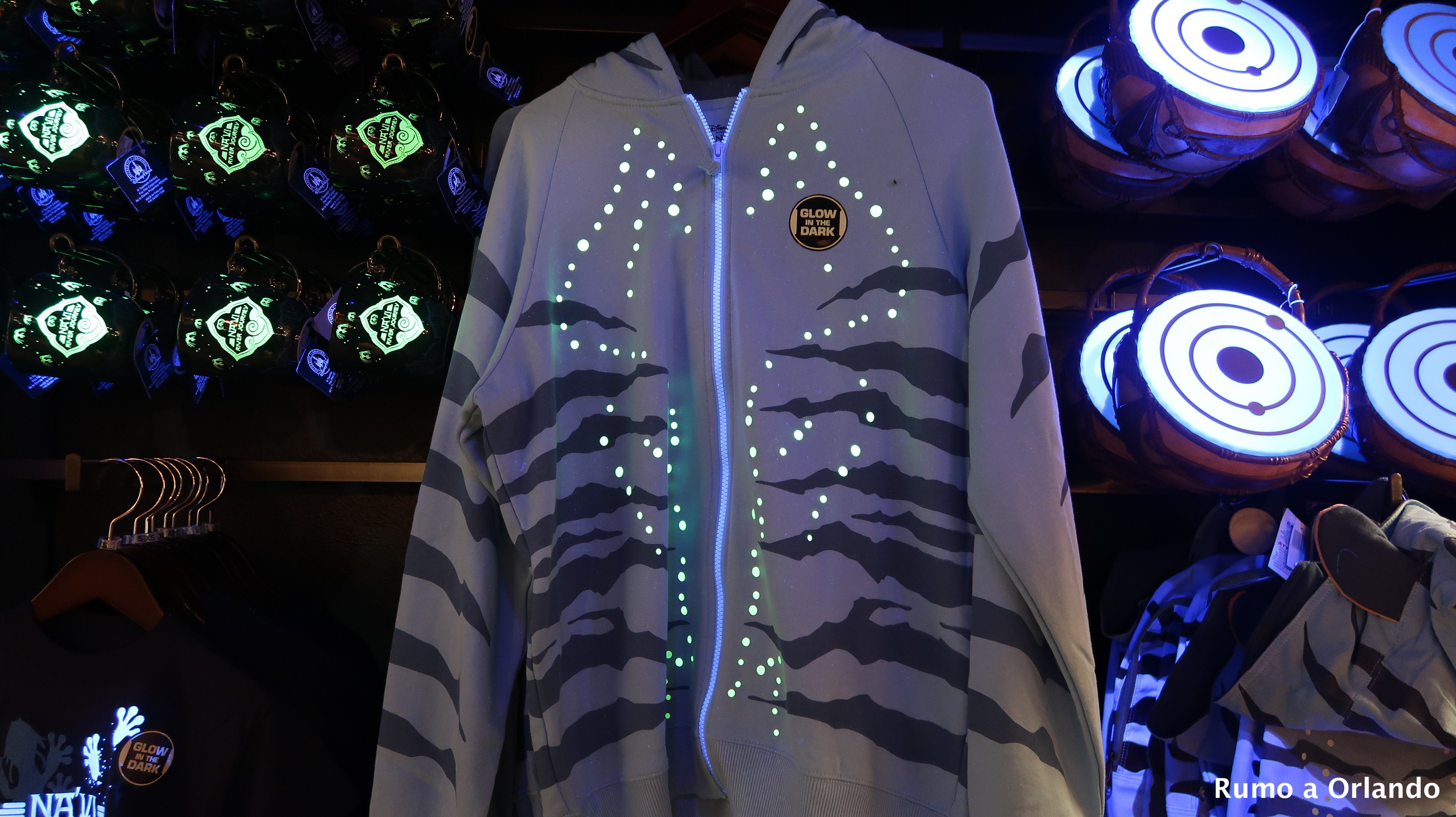 loja do Avatar no Animal Kingdom