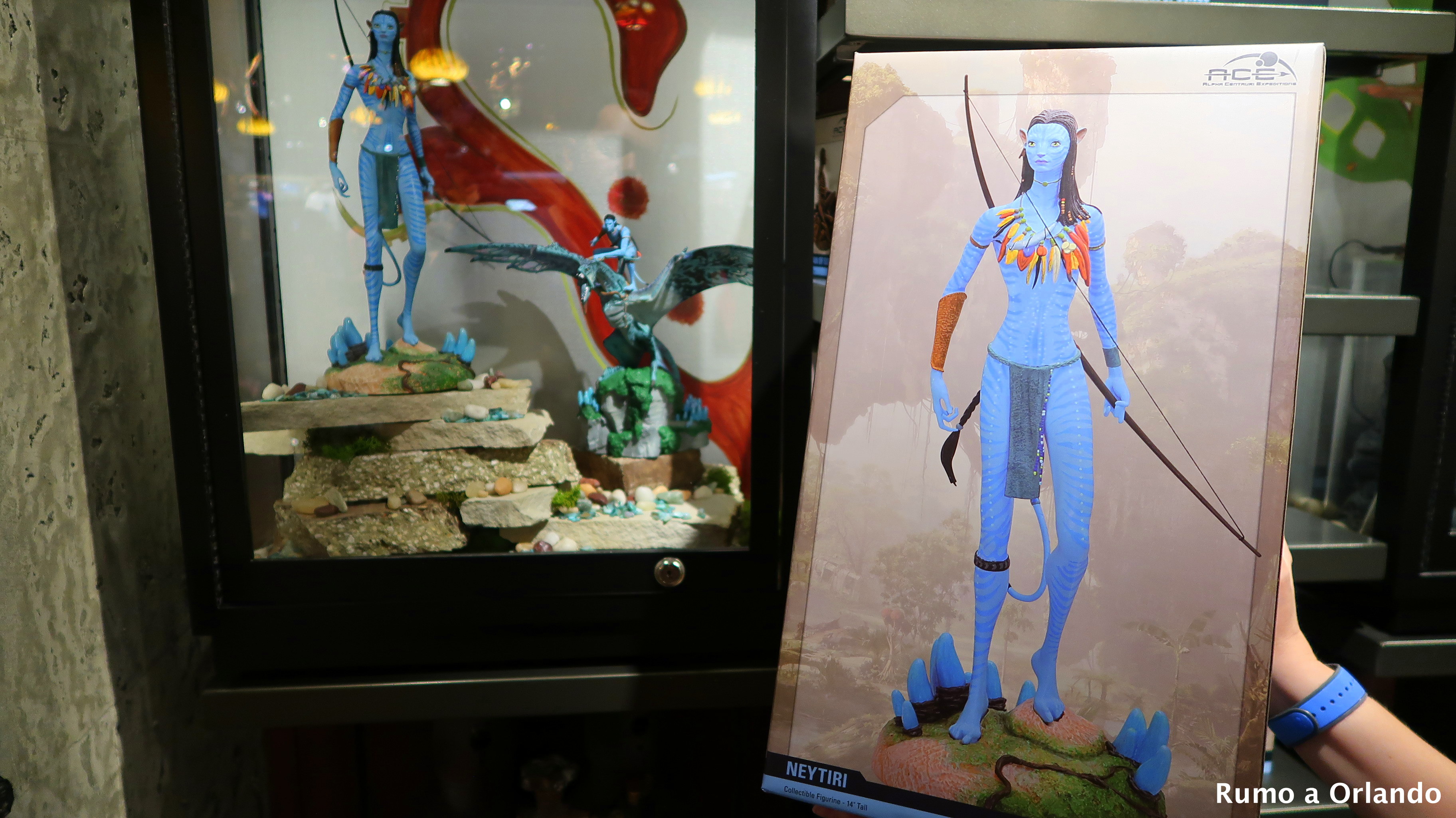 loja do Avatar no Animal Kingdom