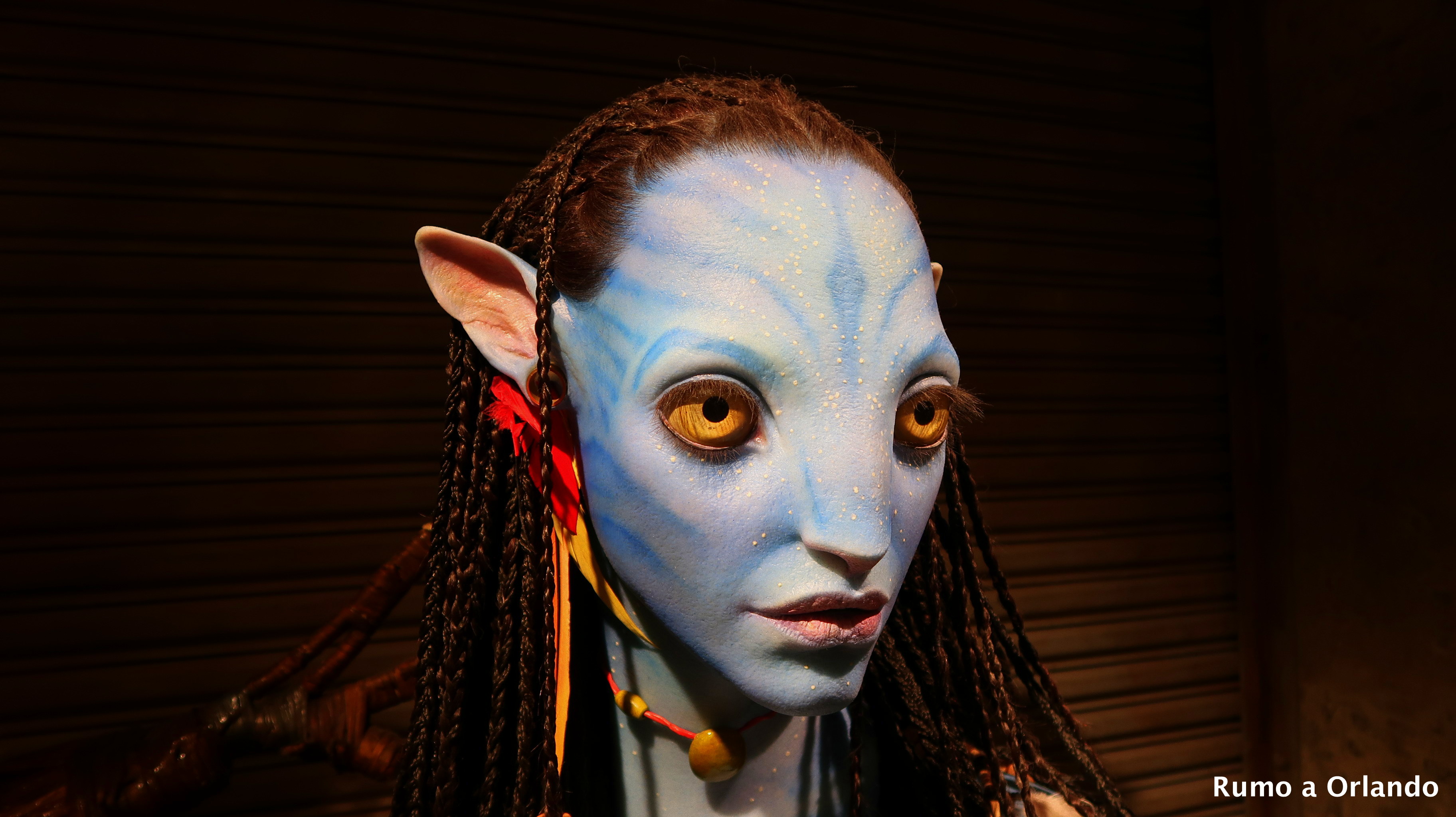 loja do Avatar no Animal Kingdom