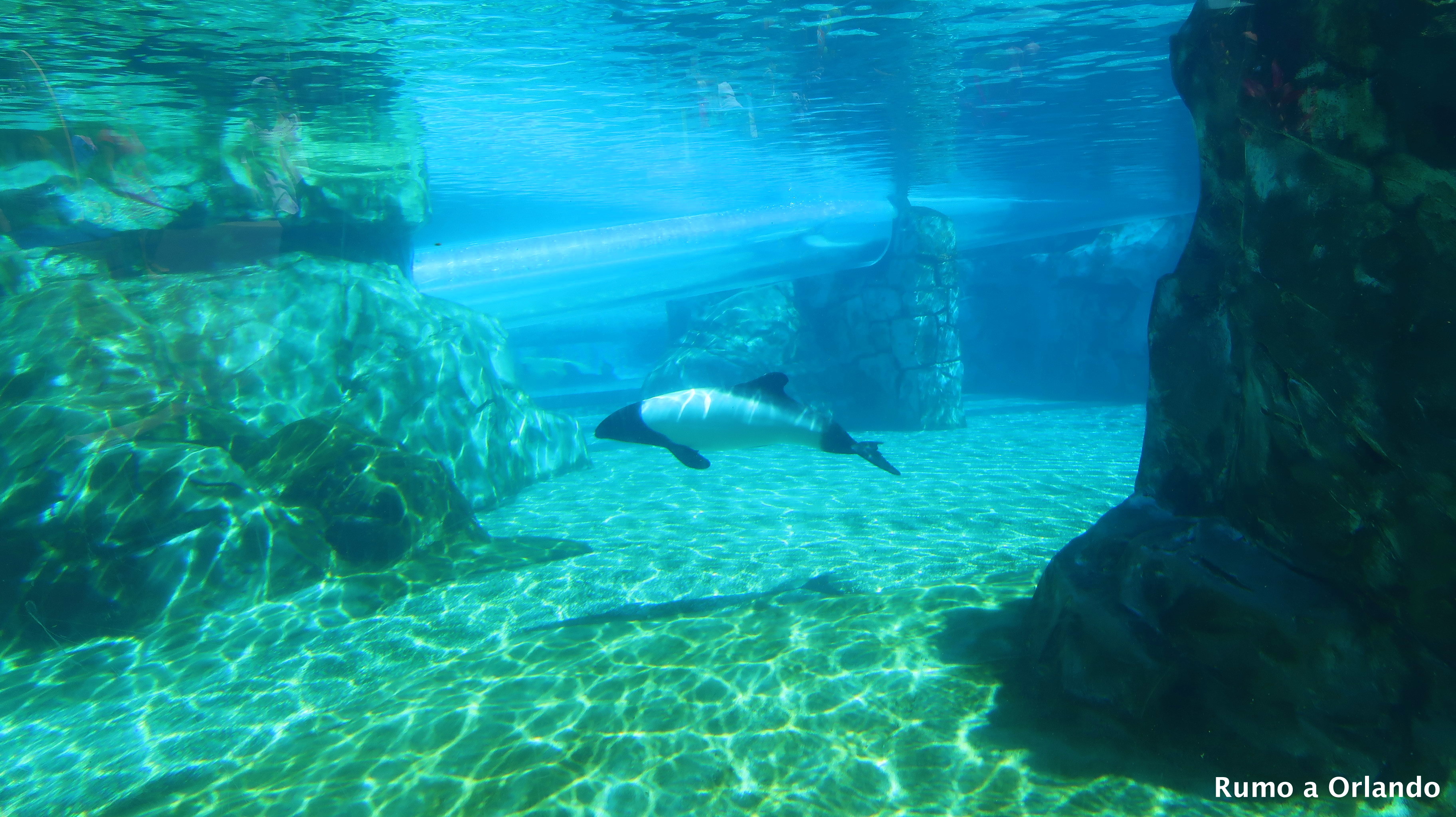 Parque aquático Aquatica