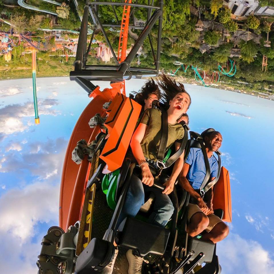 Tigris inaugura no Busch Gardens este mês!