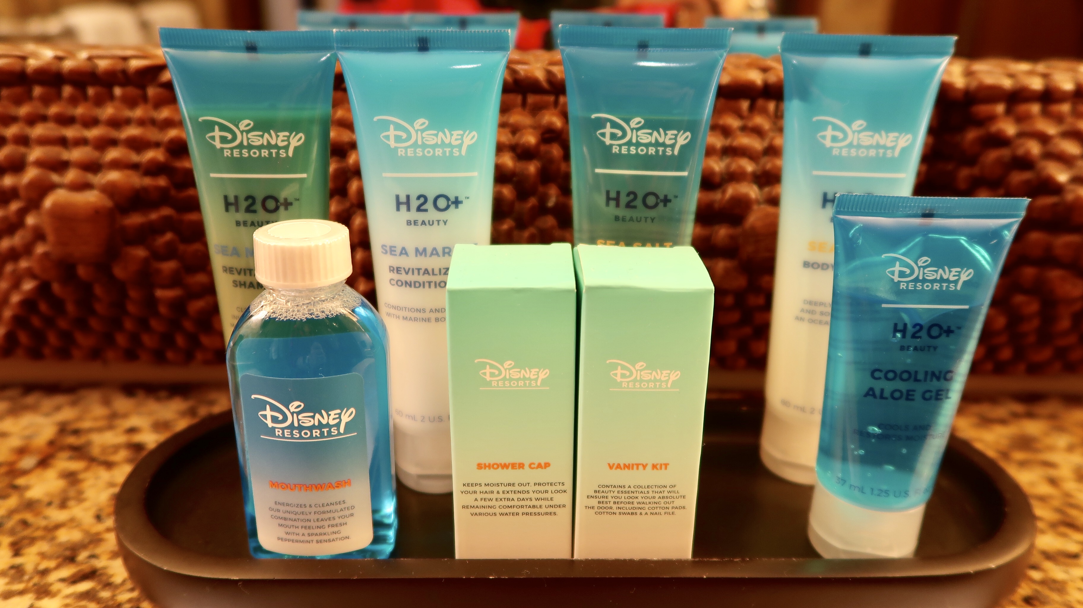 Disney's Animal Kingdom Lodge