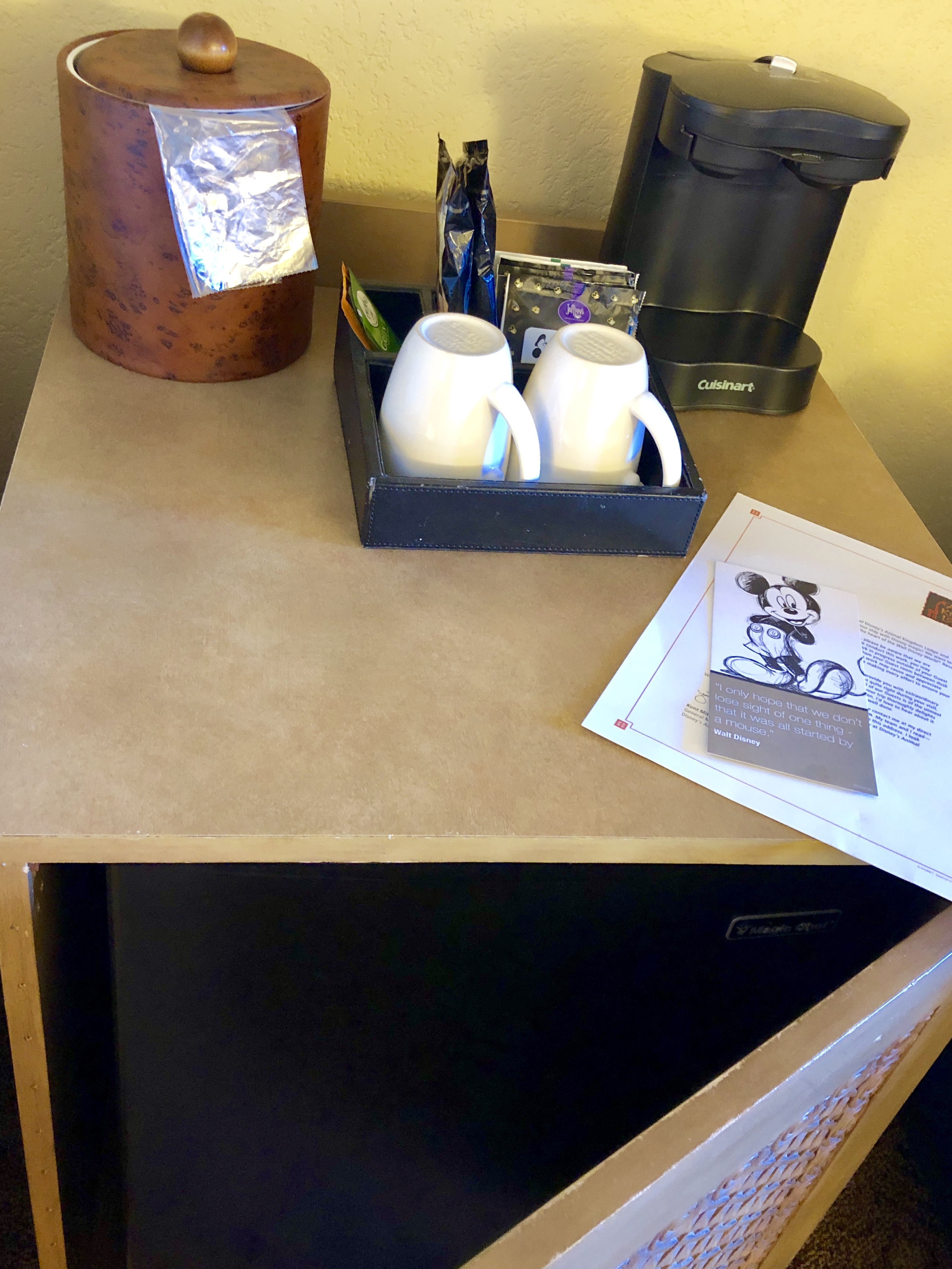 Disney's Animal Kingdom Lodge