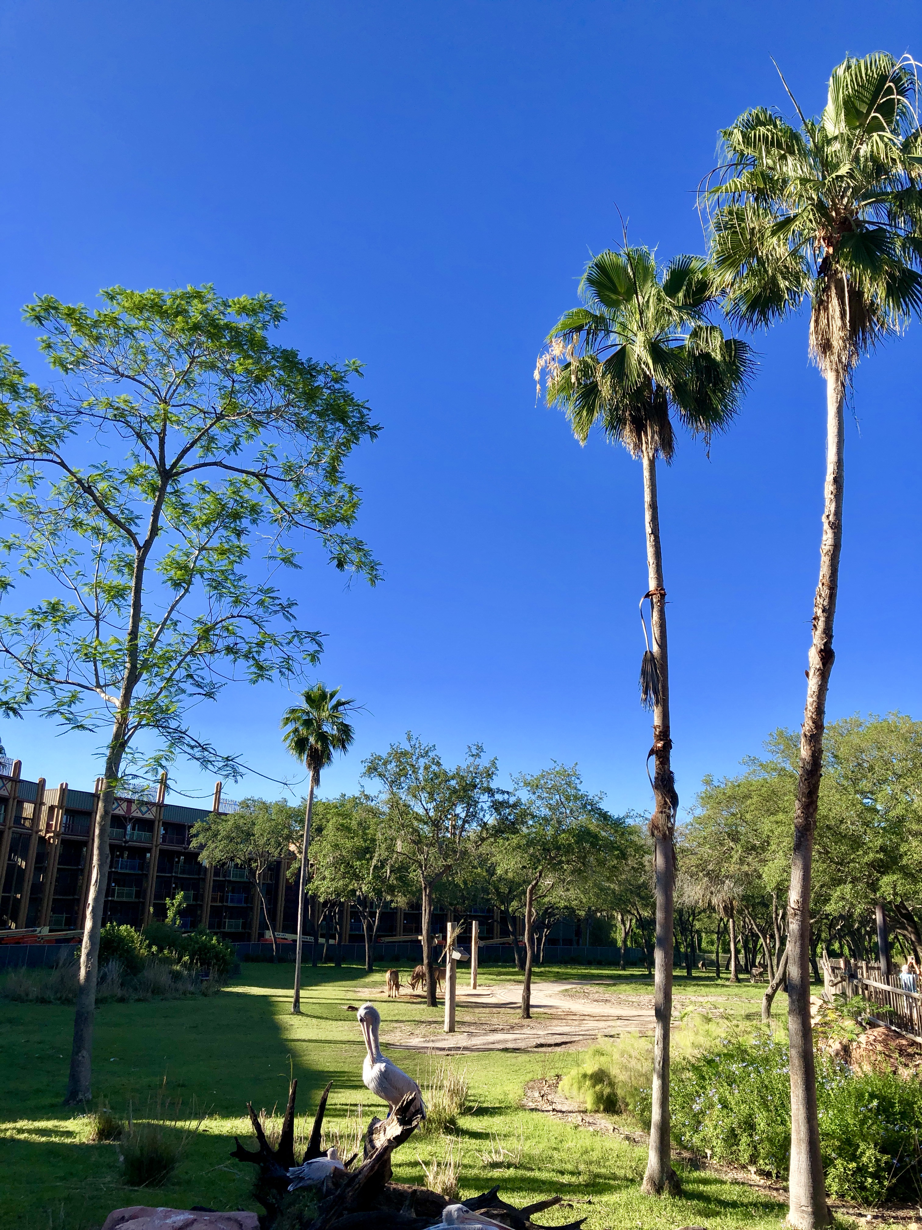Café da manhã no Boma
