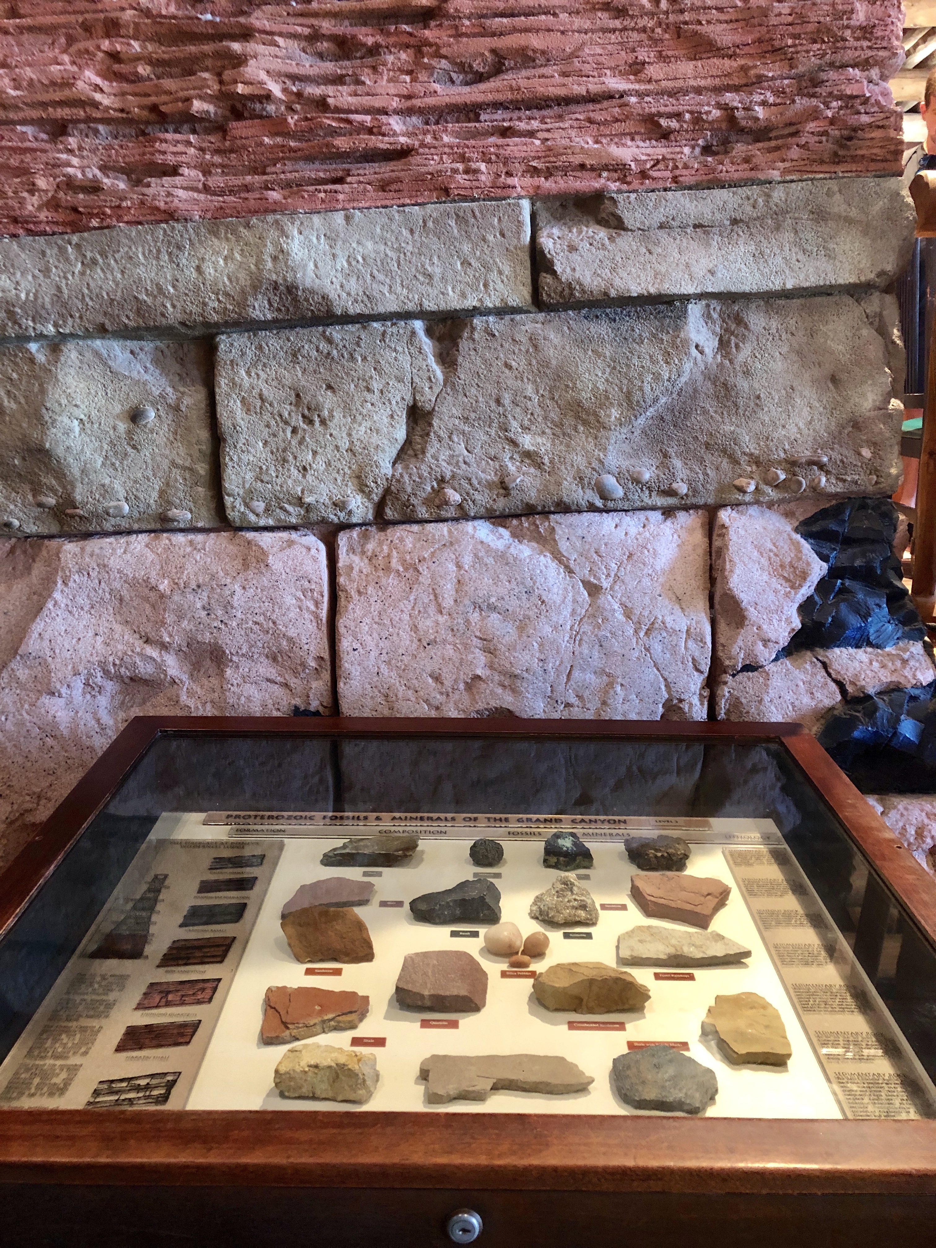 Wonders of the Wilderness Lodge