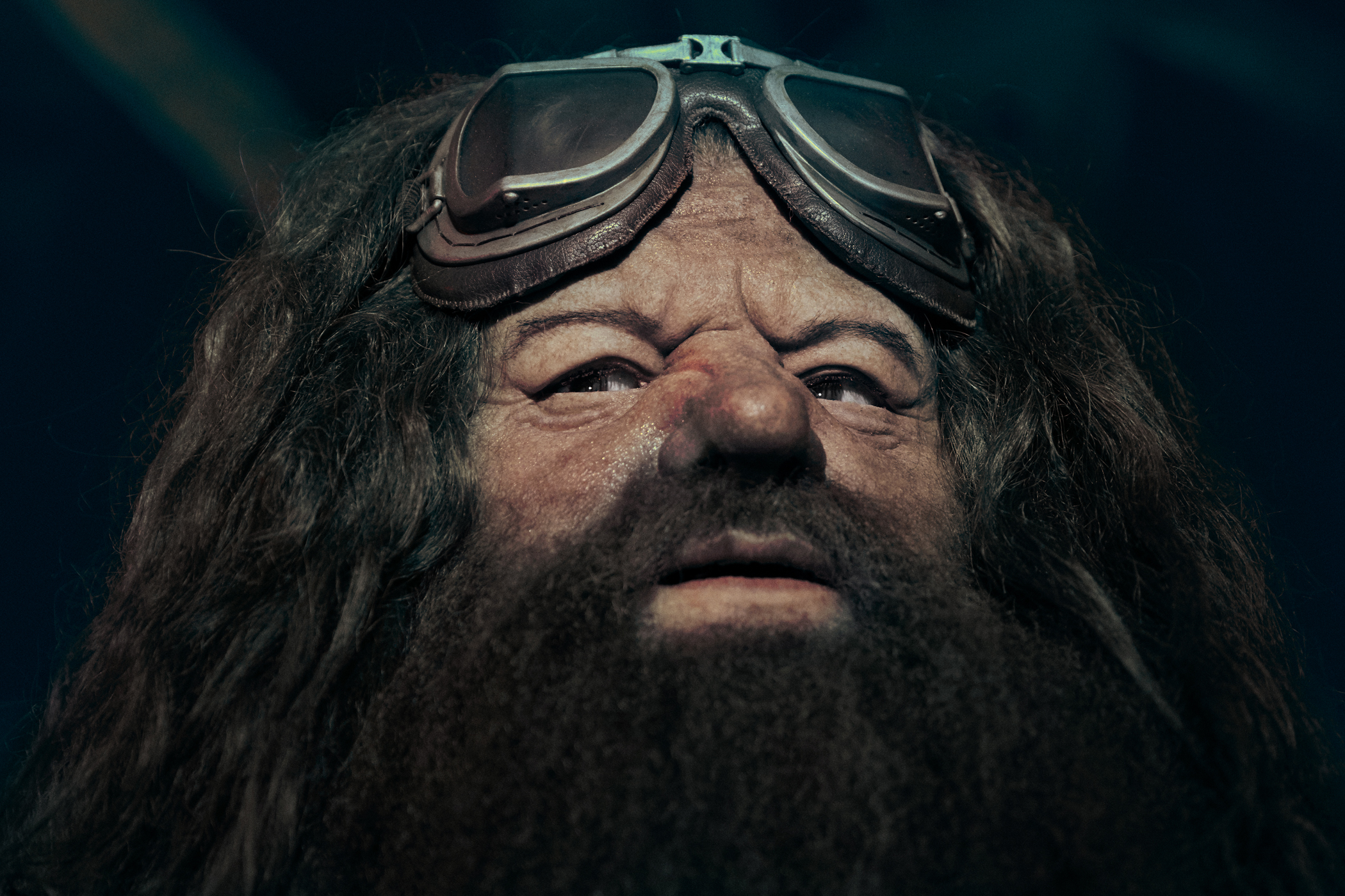 Montanha-russa do Hagrid