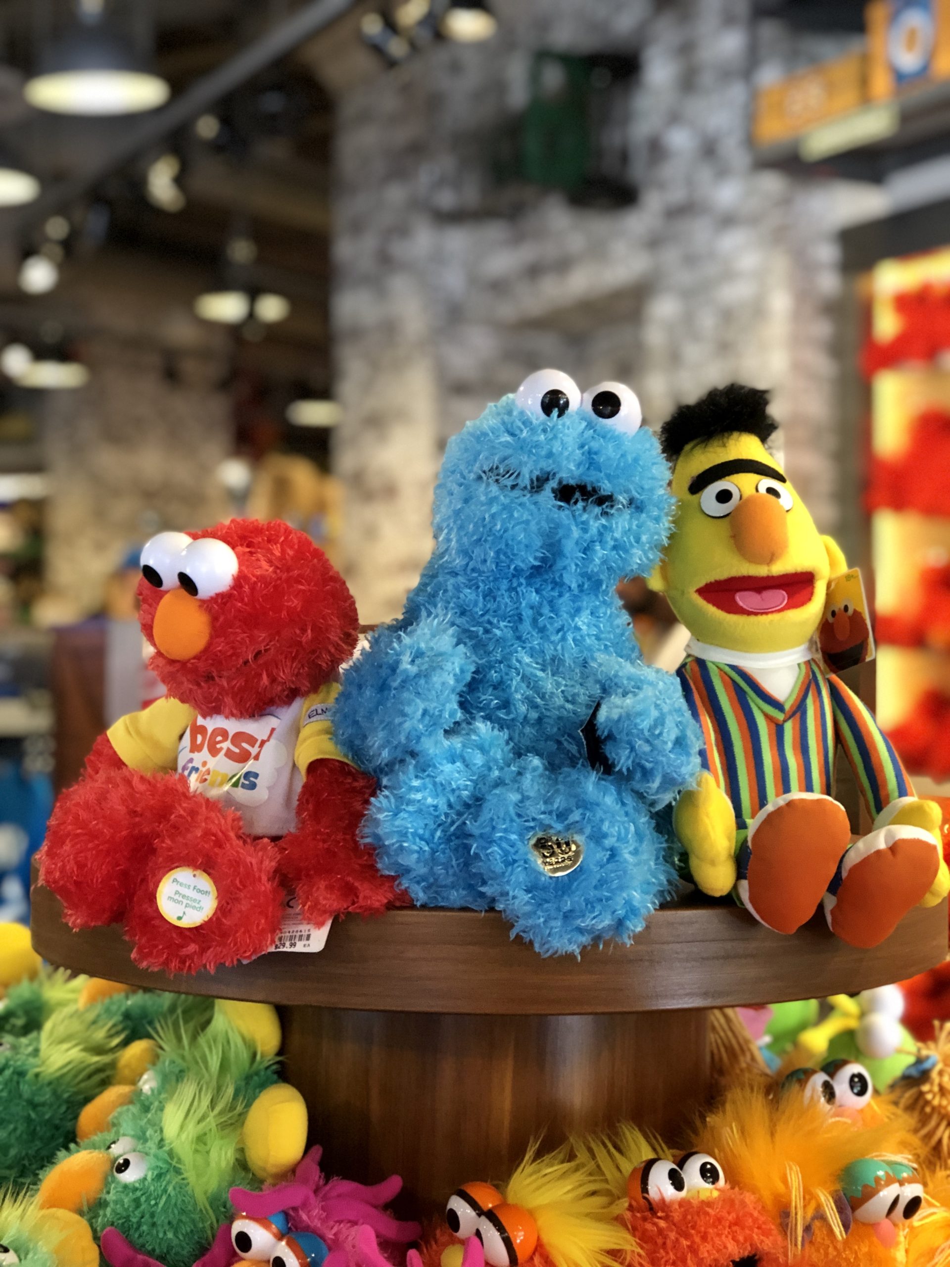 Sesame Street - a nova área infantil do Sea World