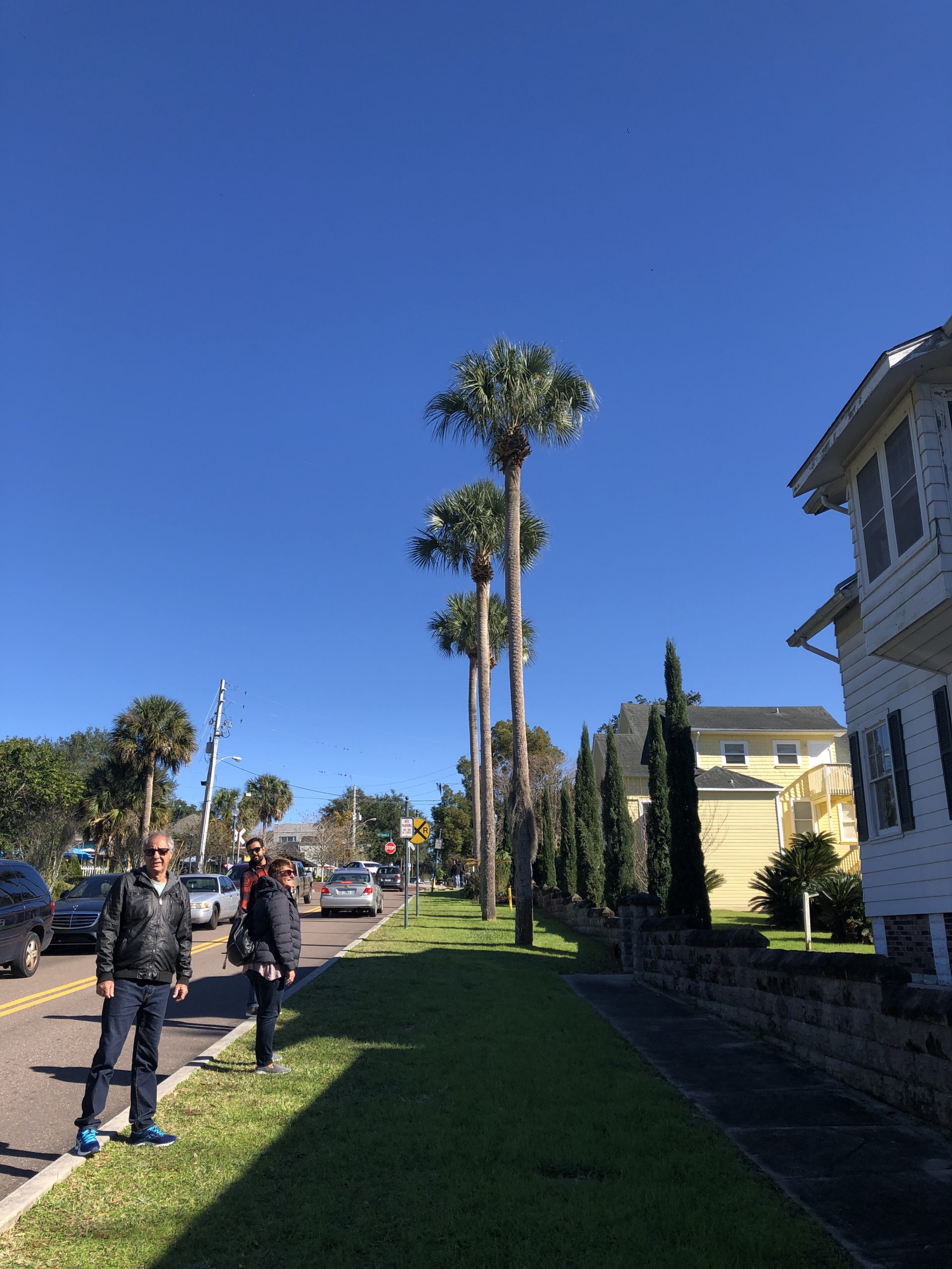 mount dora rumo a orlando