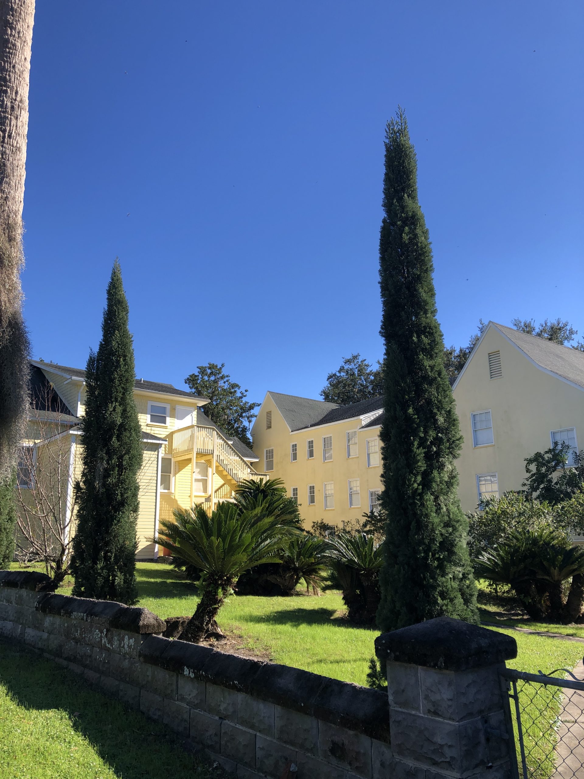 mount dora rumo a orlando