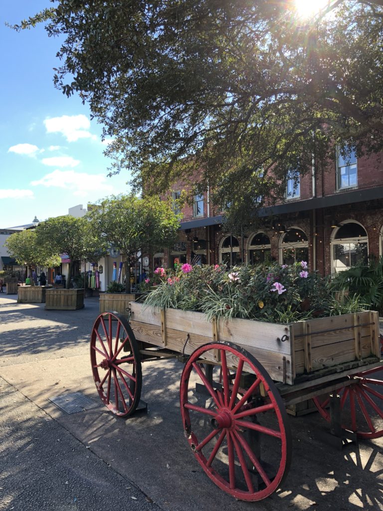 savannah rumo a orlando