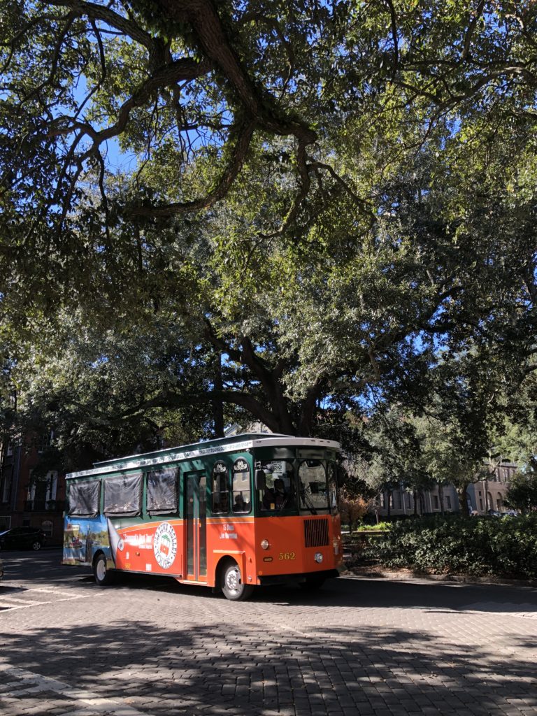 savannah rumo a orlando