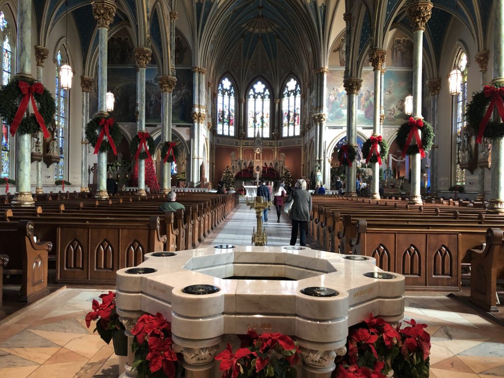 savannah rumo a orlando