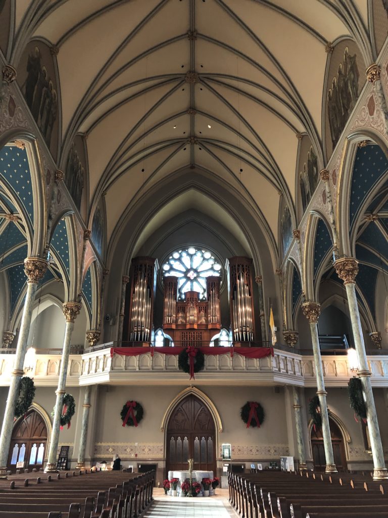 savannah rumo a orlando