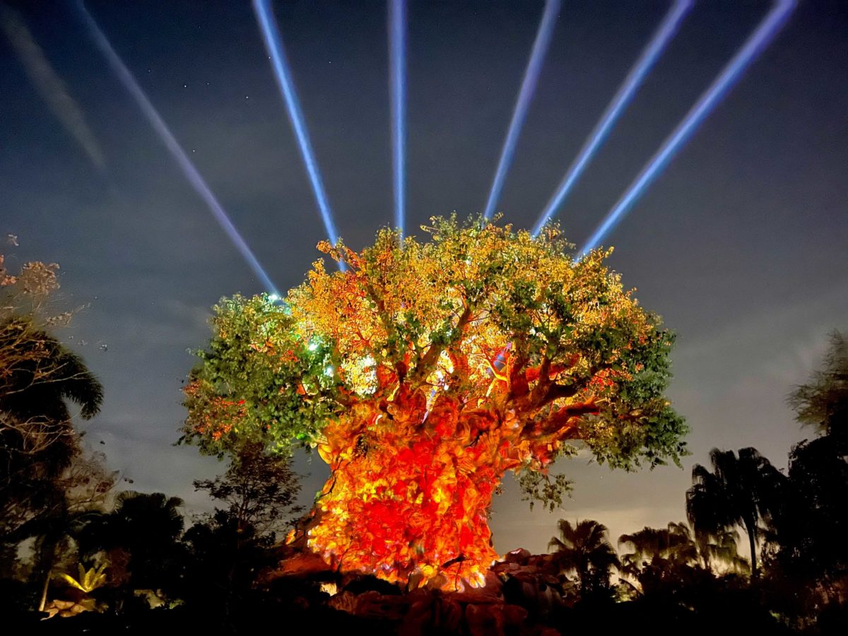 Show noturno do Animal Kingdom já está sendo apresentado