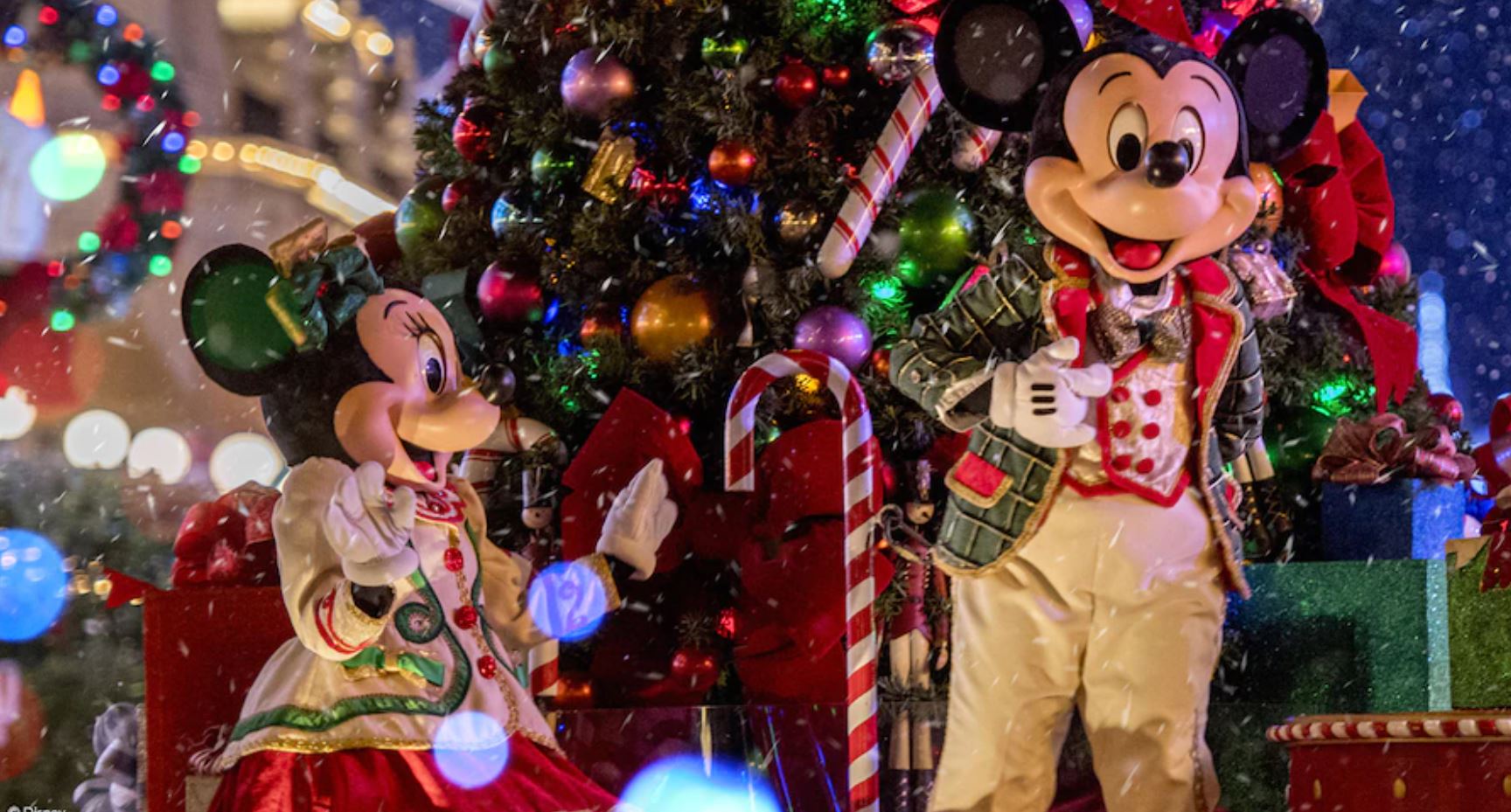 Festa de Natal da Disney 2021: datas, preços e programação são revelados