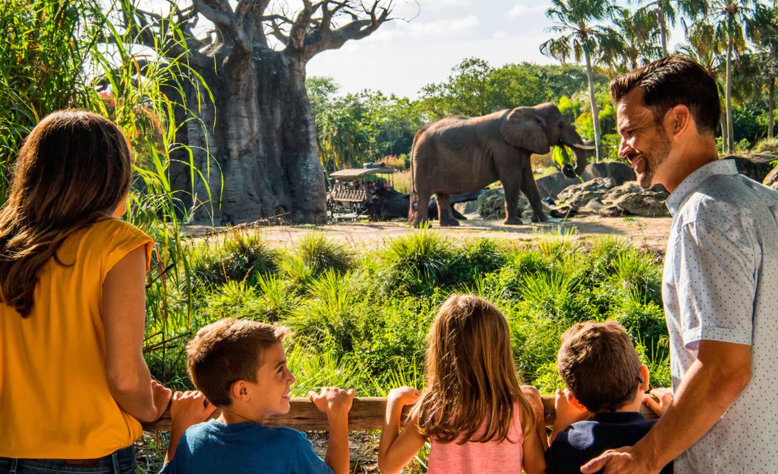 Tours nos bastidores da Disney têm data para voltar a acontecer
