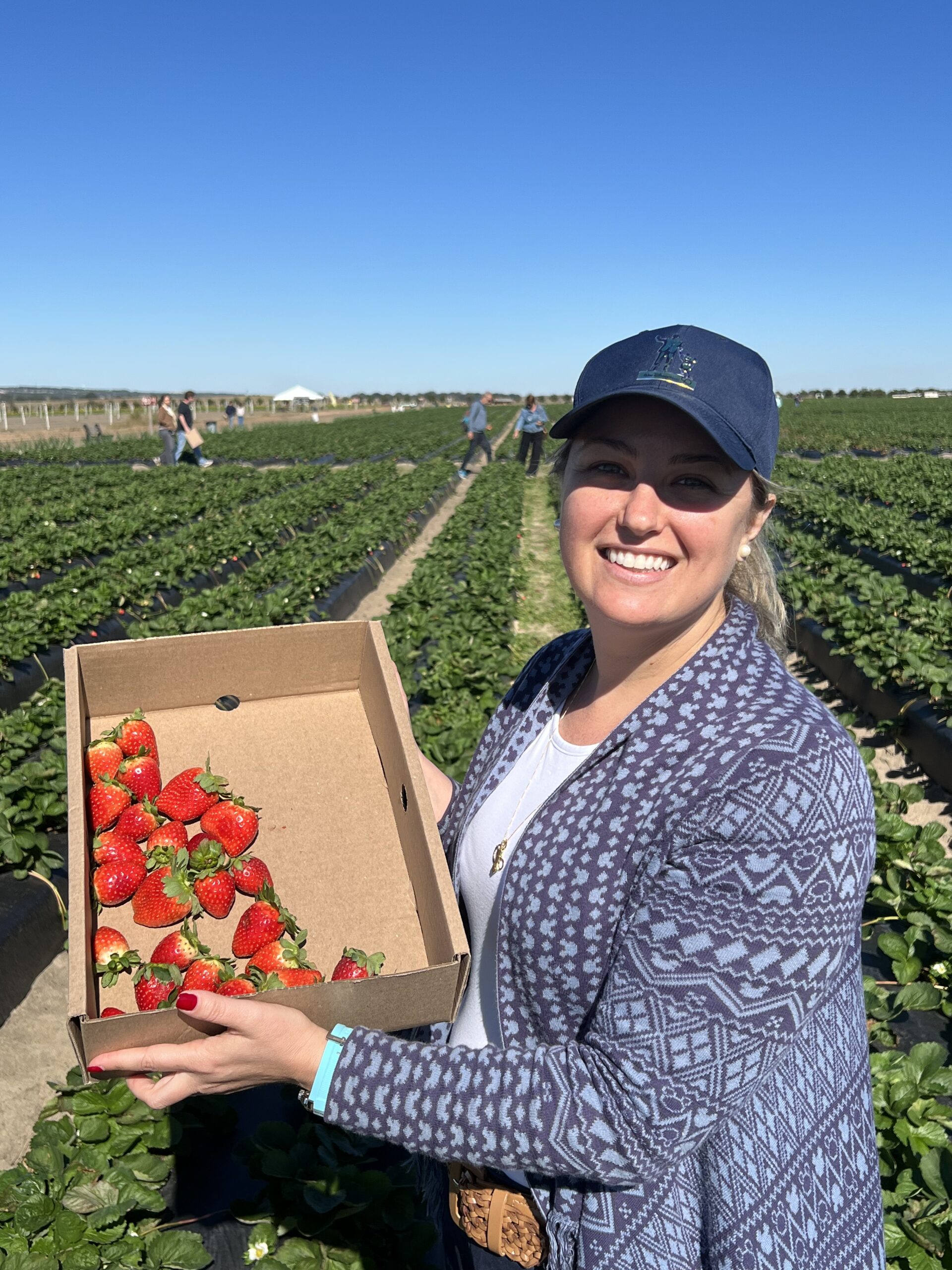 Passeio diferente em Orlando: Southern Hill Farms