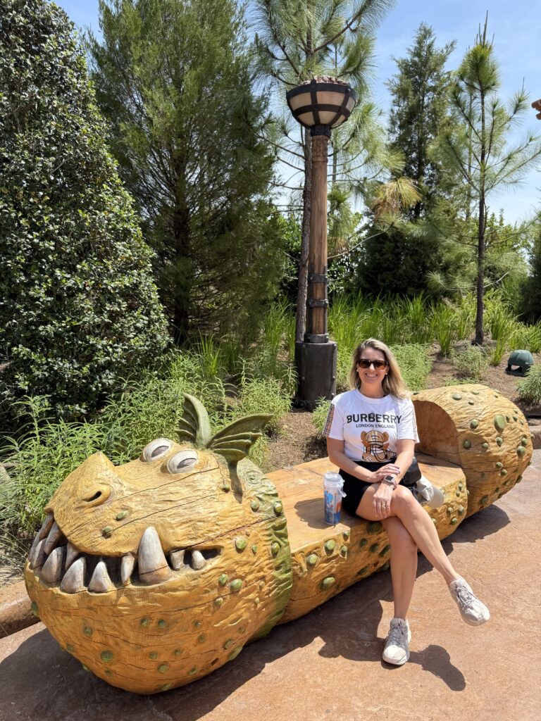 show dragoes epic universe