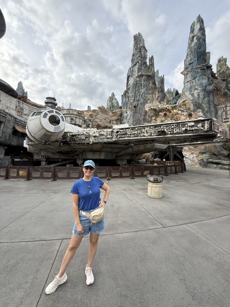 guiamento virtua disney