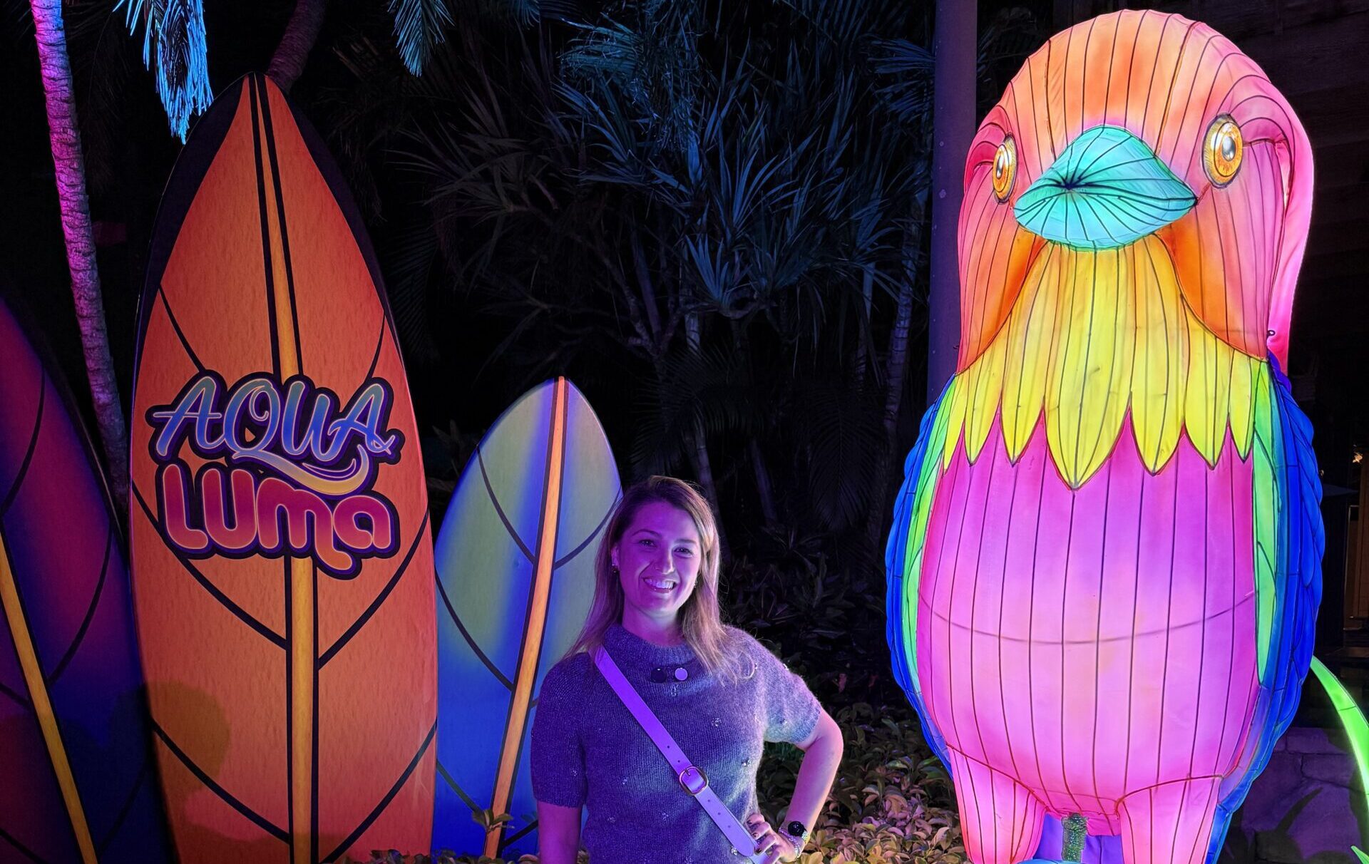 Evento de Natal do Aquatica - Illuminate