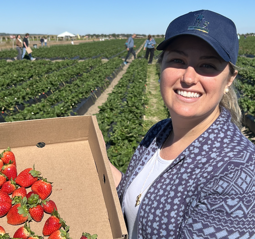 Passeio diferente em Orlando: Southern Hill Farms