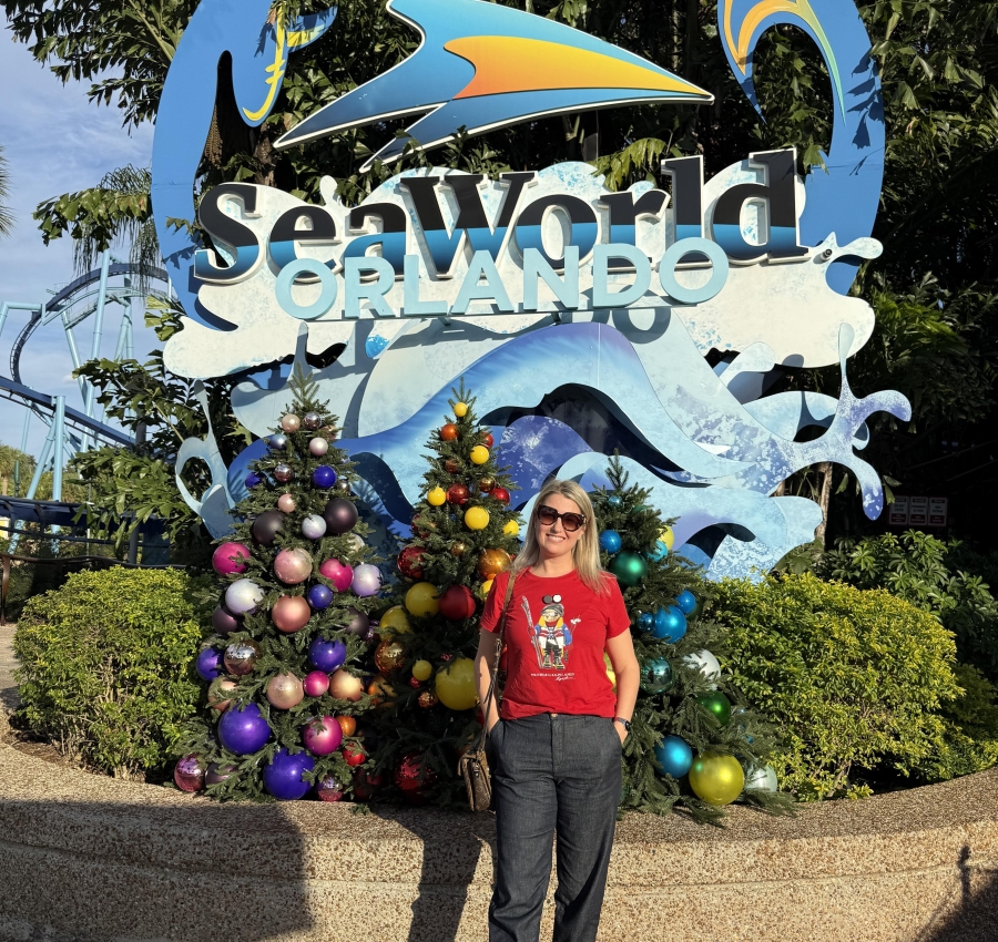 Festa de Natal do Sea World