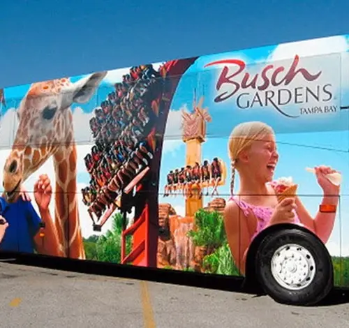 Busch Gardens retoma transporte gratuito e fecha a Kumba